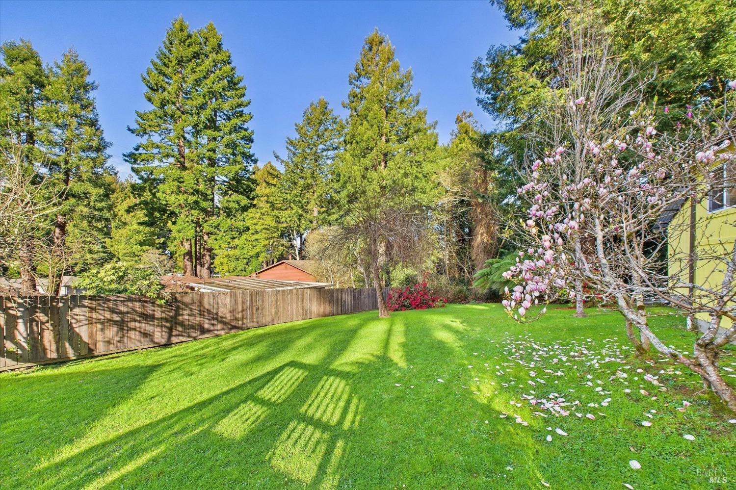 Detail Gallery Image 22 of 27 For 3123 W St, Eureka,  CA 95503 - 3 Beds | 2 Baths
