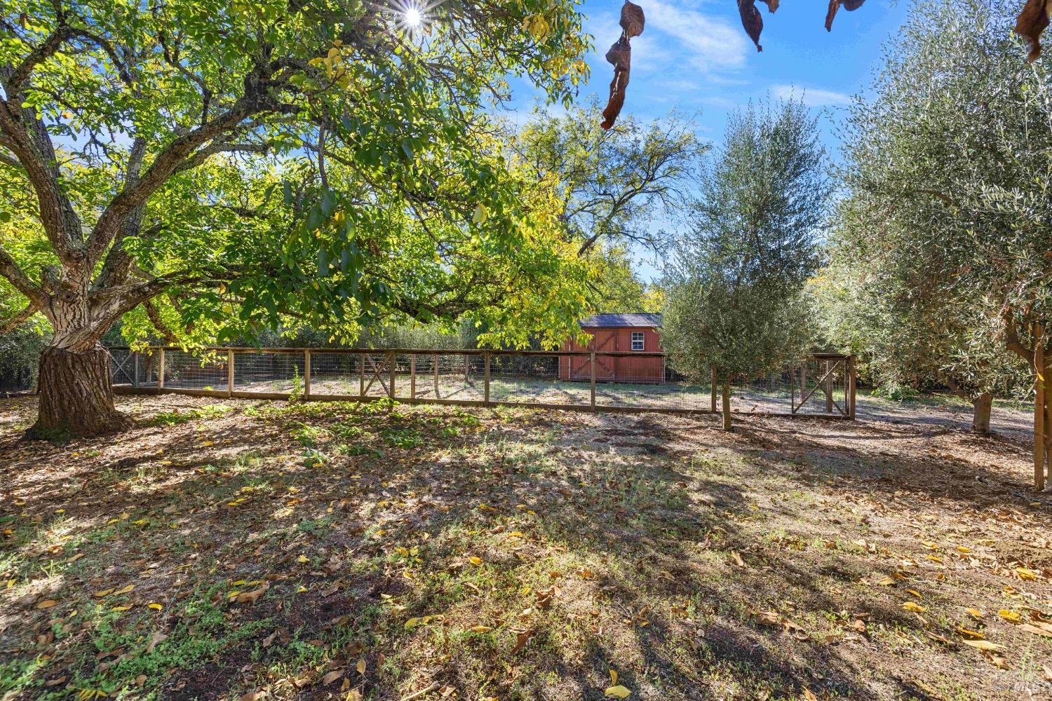 Detail Gallery Image 61 of 81 For 2551 Grant St, Calistoga,  CA 94515 - 6 Beds | 4/2 Baths
