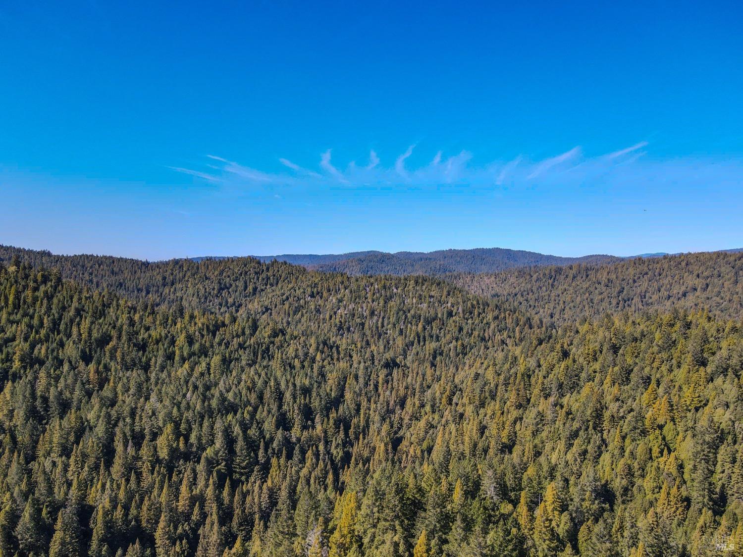 Detail Gallery Image 5 of 37 For 0 Irmulco Rd, Willits,  CA 95490 - – Beds | – Baths