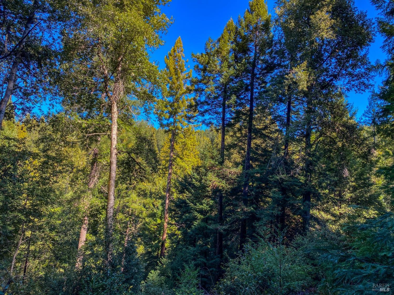 Detail Gallery Image 12 of 37 For 0 Irmulco Rd, Willits,  CA 95490 - – Beds | – Baths