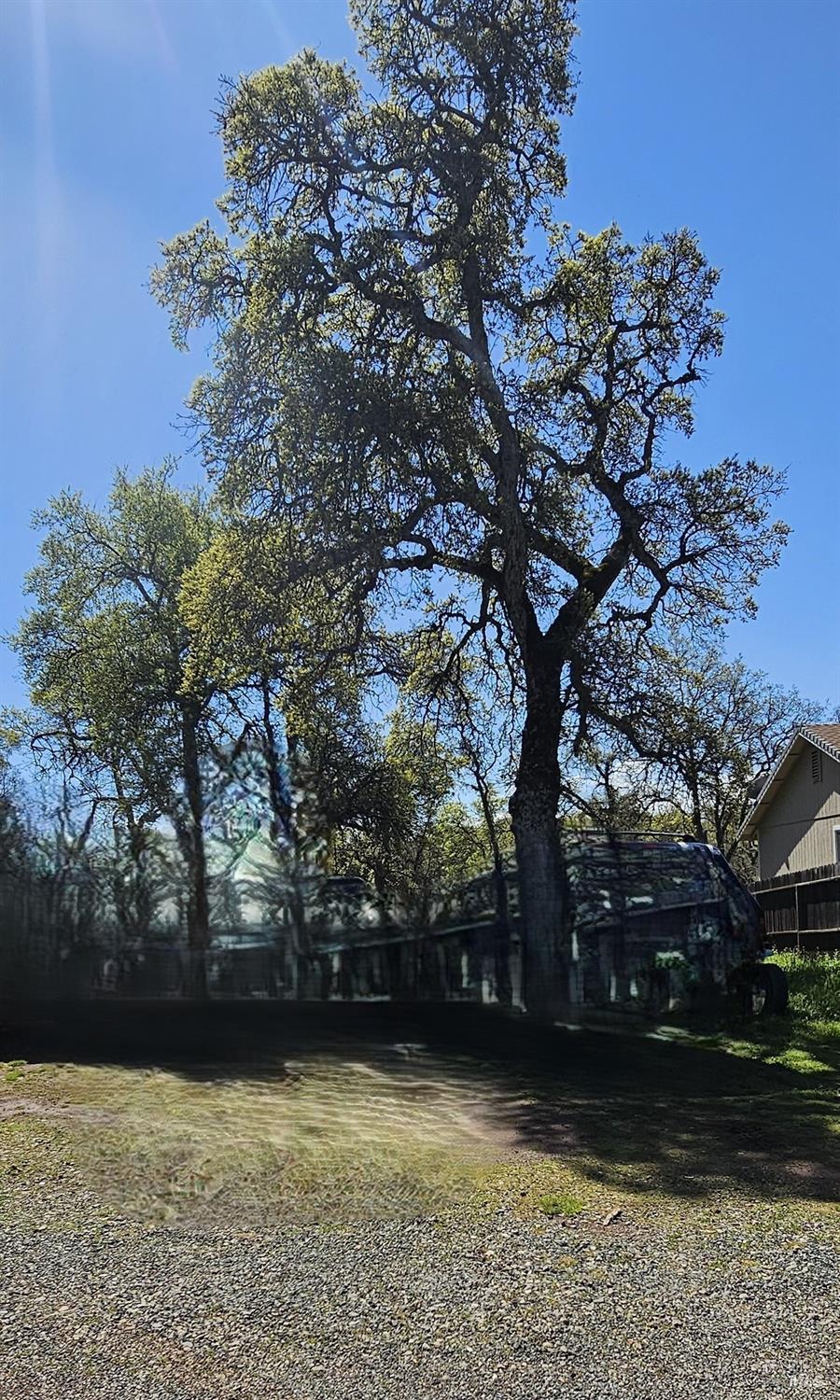 Detail Gallery Image 3 of 4 For 16163 24th Ave, Clearlake,  CA 95422 - – Beds | – Baths