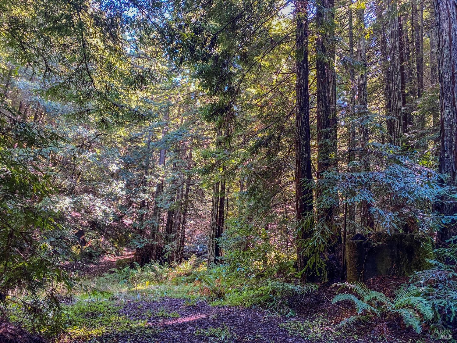 Detail Gallery Image 27 of 37 For 0 Irmulco Rd, Willits,  CA 95490 - – Beds | – Baths