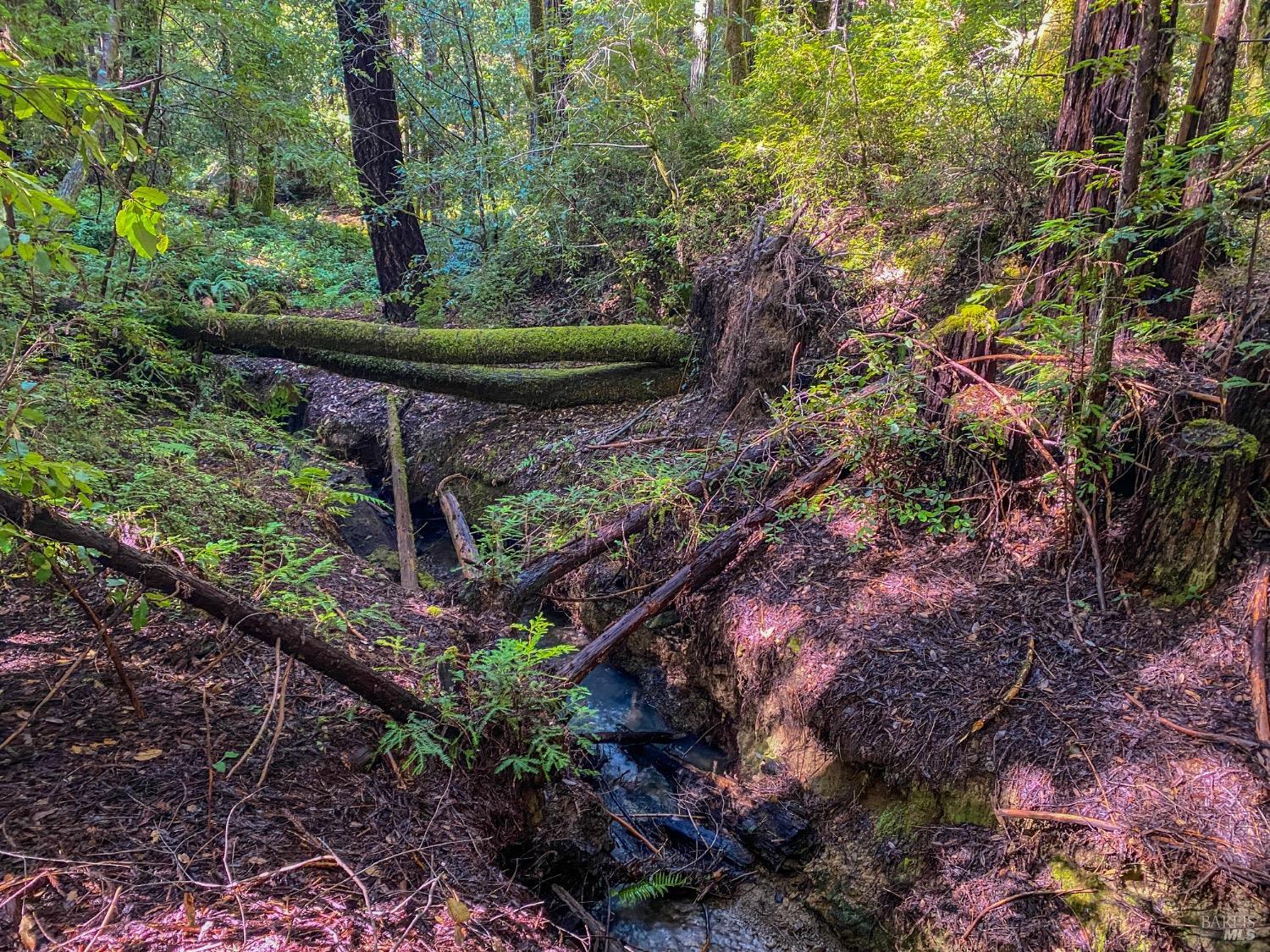 Detail Gallery Image 37 of 37 For 0 Irmulco Rd, Willits,  CA 95490 - – Beds | – Baths