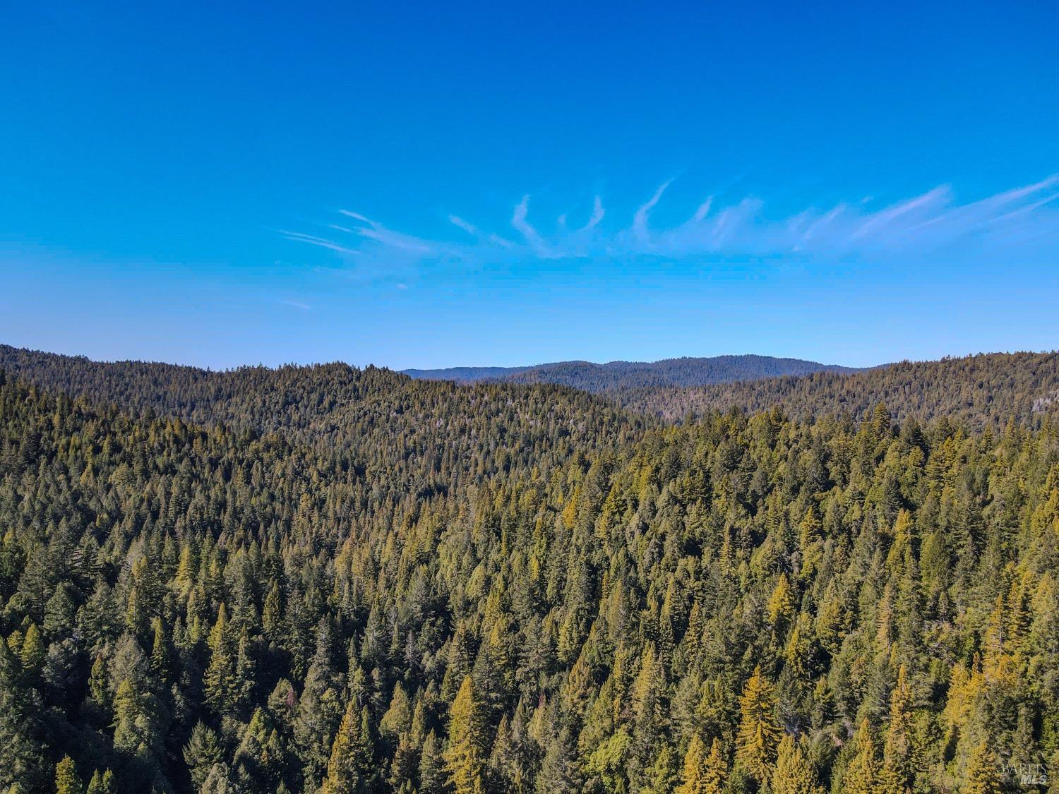 Detail Gallery Image 1 of 37 For 0 Irmulco Rd, Willits,  CA 95490 - – Beds | – Baths