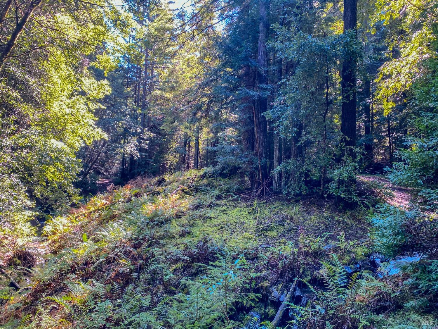 Detail Gallery Image 25 of 37 For 0 Irmulco Rd, Willits,  CA 95490 - – Beds | – Baths