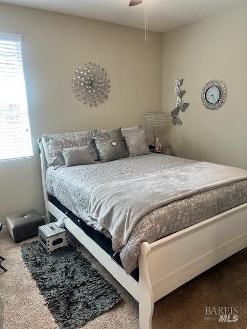 Detail Gallery Image 13 of 26 For 2235 Reunion Ln, Rio Vista,  CA 94571 - 2 Beds | 2 Baths