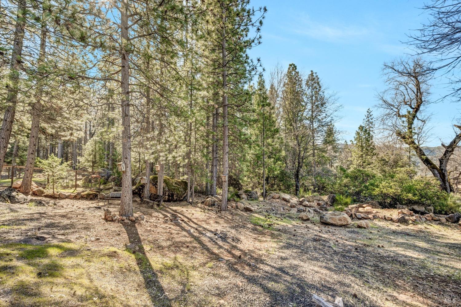 Detail Gallery Image 37 of 38 For 8902 Fox Dr, Cobb,  CA 95426 - 3 Beds | 2/1 Baths