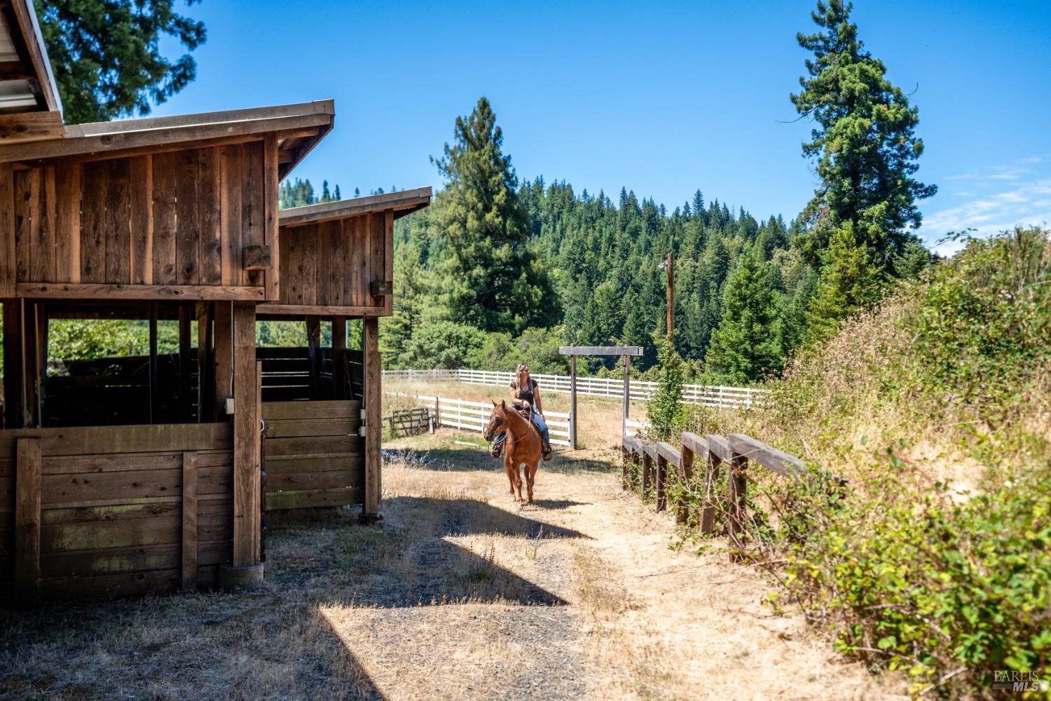 Detail Gallery Image 67 of 72 For 29100 Comptche Ukiah Rd, Comptche,  CA 95427 - 3 Beds | 2 Baths
