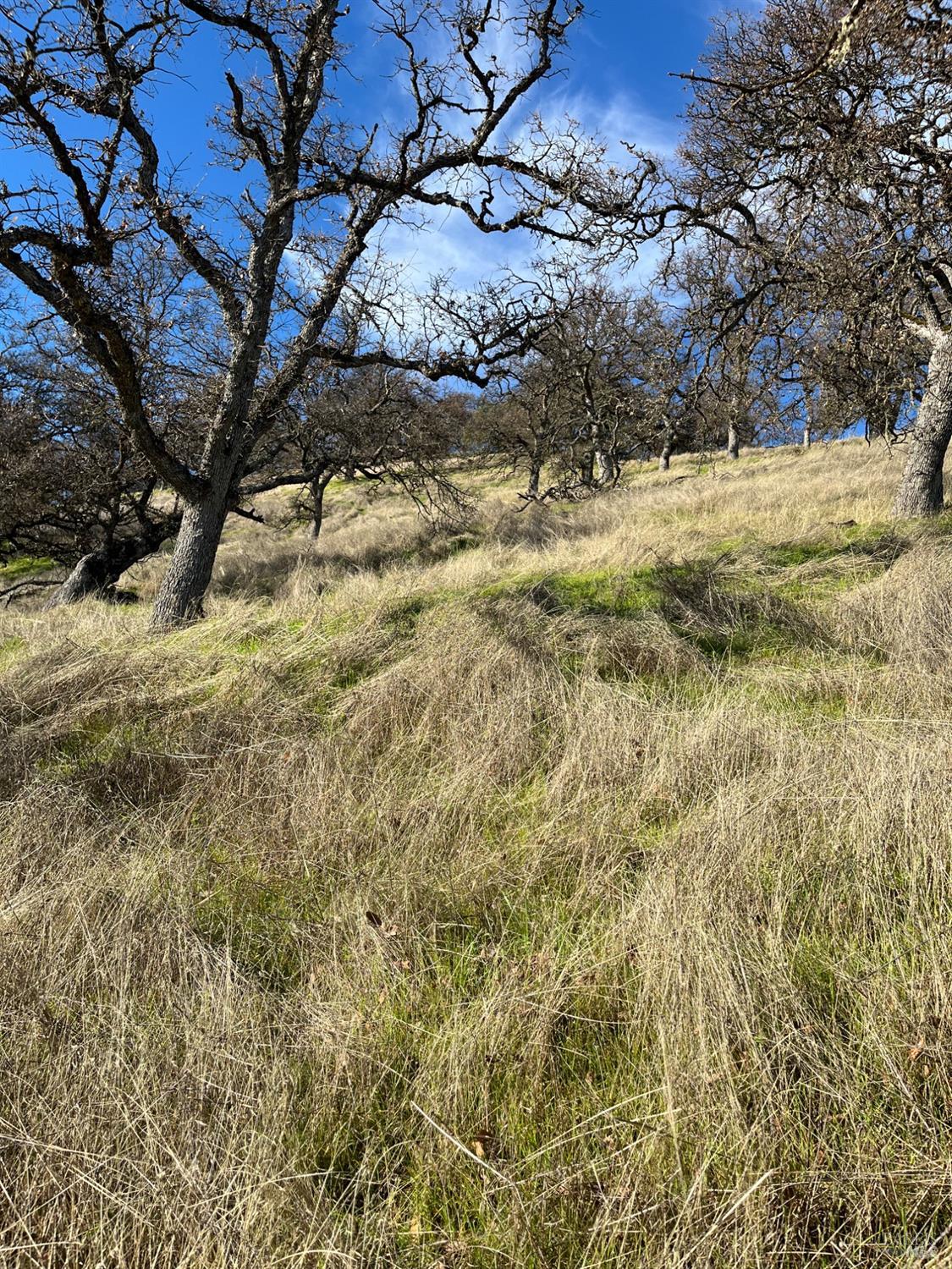 Konocti Drive, Clearlake Oaks, California image 14