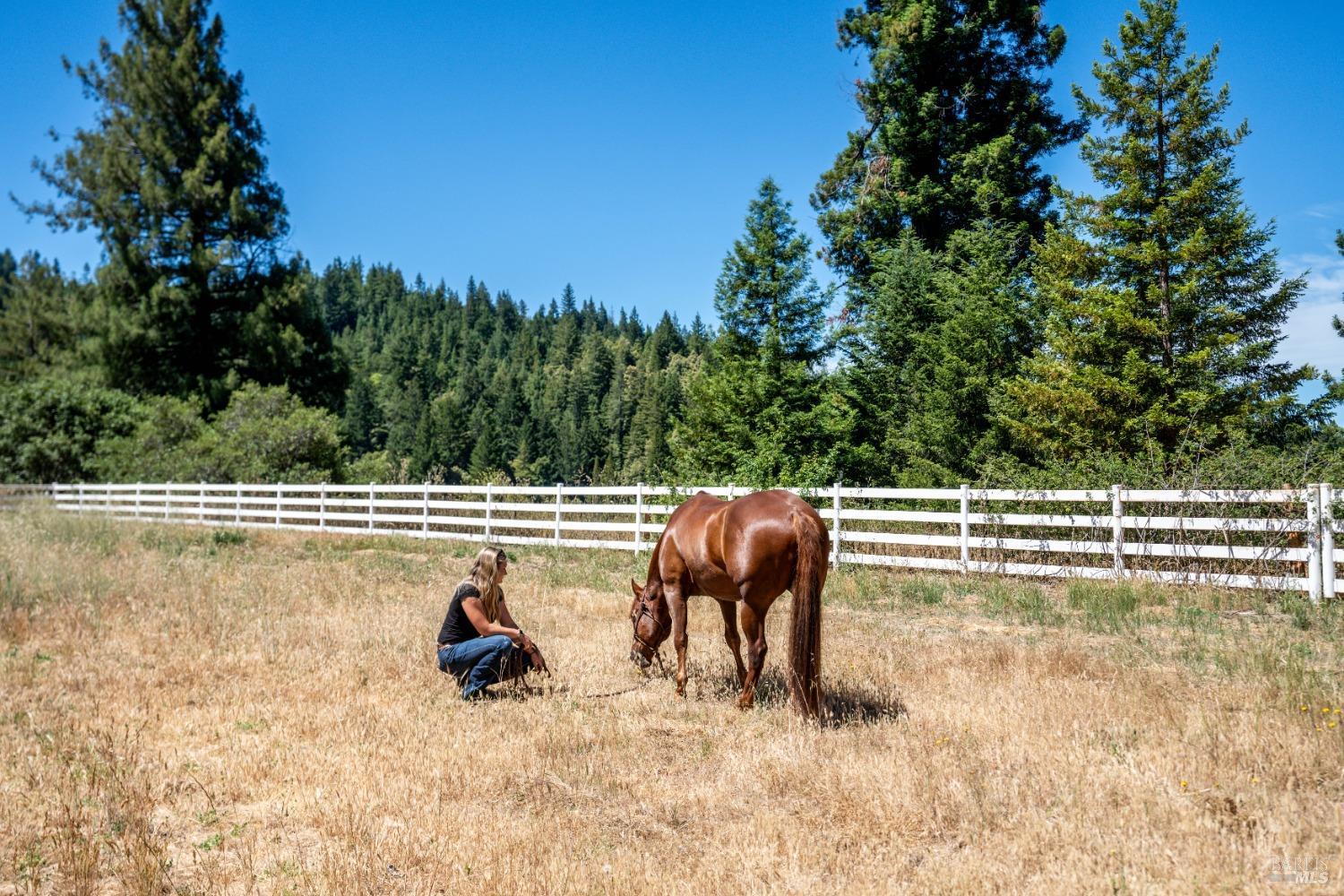 Detail Gallery Image 62 of 72 For 29100 Comptche Ukiah Rd, Comptche,  CA 95427 - 3 Beds | 2 Baths
