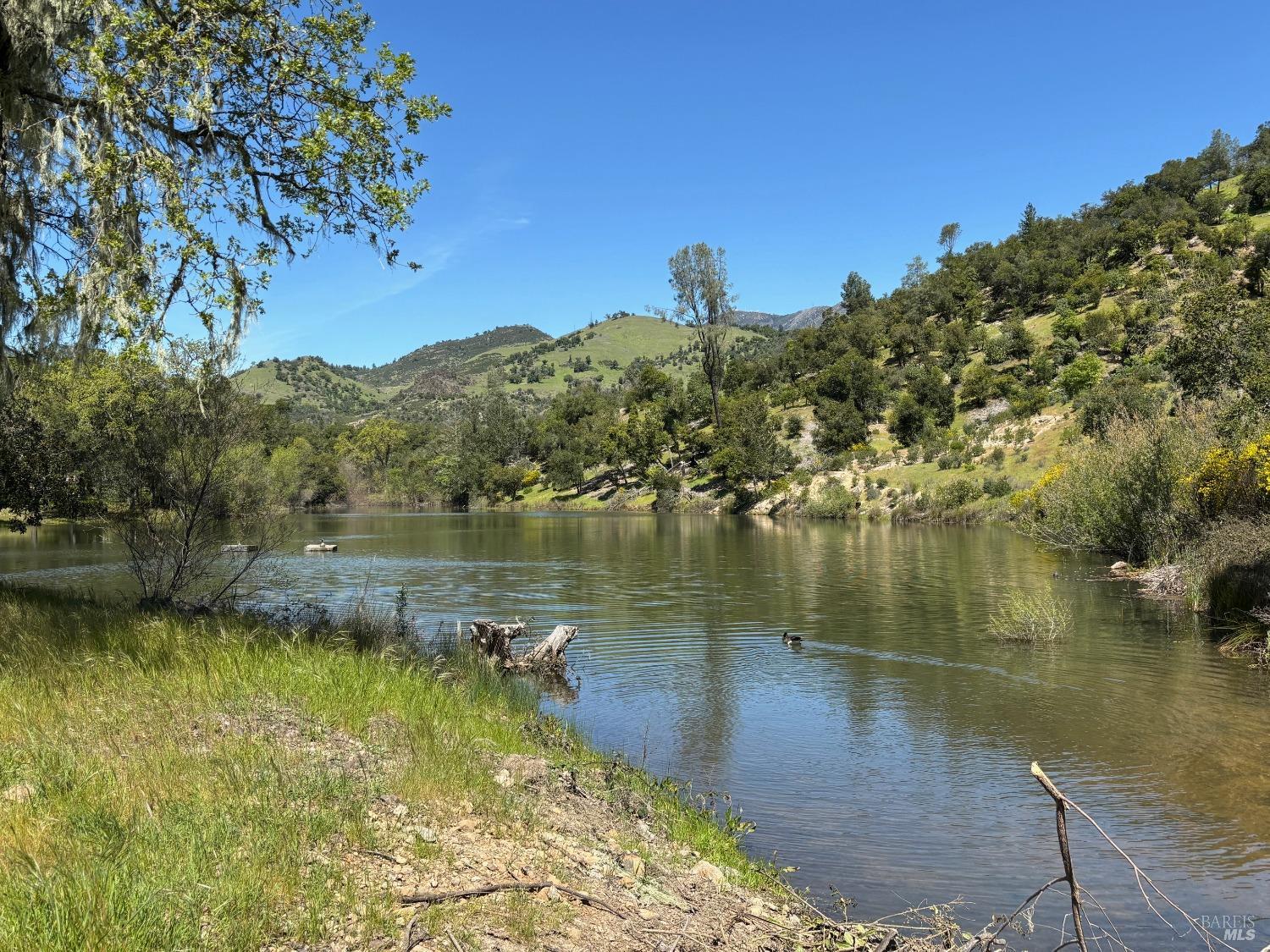 Detail Gallery Image 6 of 39 For 1218 Bennett Ln, Calistoga,  CA 94515 - 2 Beds | 2/1 Baths