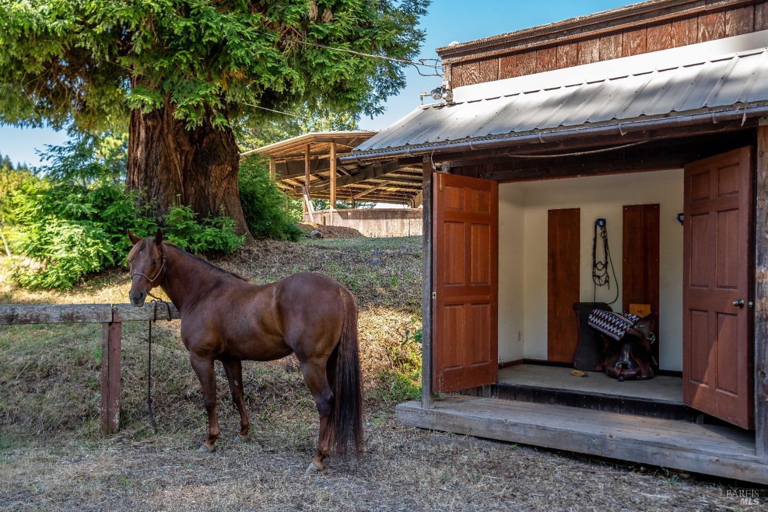 Detail Gallery Image 64 of 72 For 29100 Comptche Ukiah Rd, Comptche,  CA 95427 - 3 Beds | 2 Baths