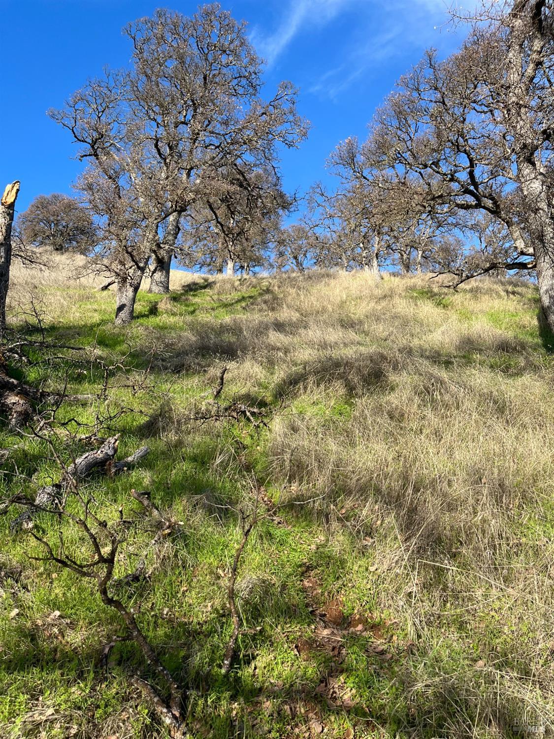 Konocti Drive, Clearlake Oaks, California image 13