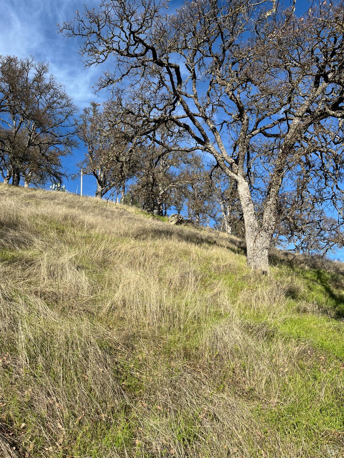 Konocti Drive, Clearlake Oaks, California image 8