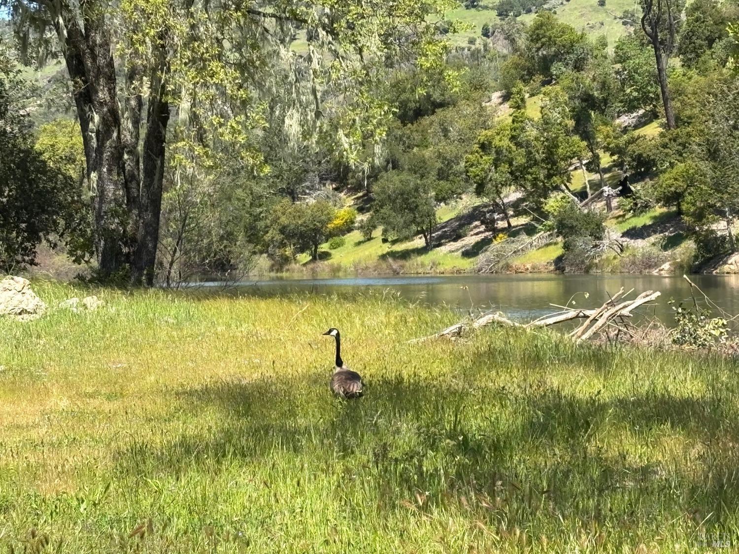 Detail Gallery Image 9 of 39 For 1218 Bennett Ln, Calistoga,  CA 94515 - 2 Beds | 2/1 Baths