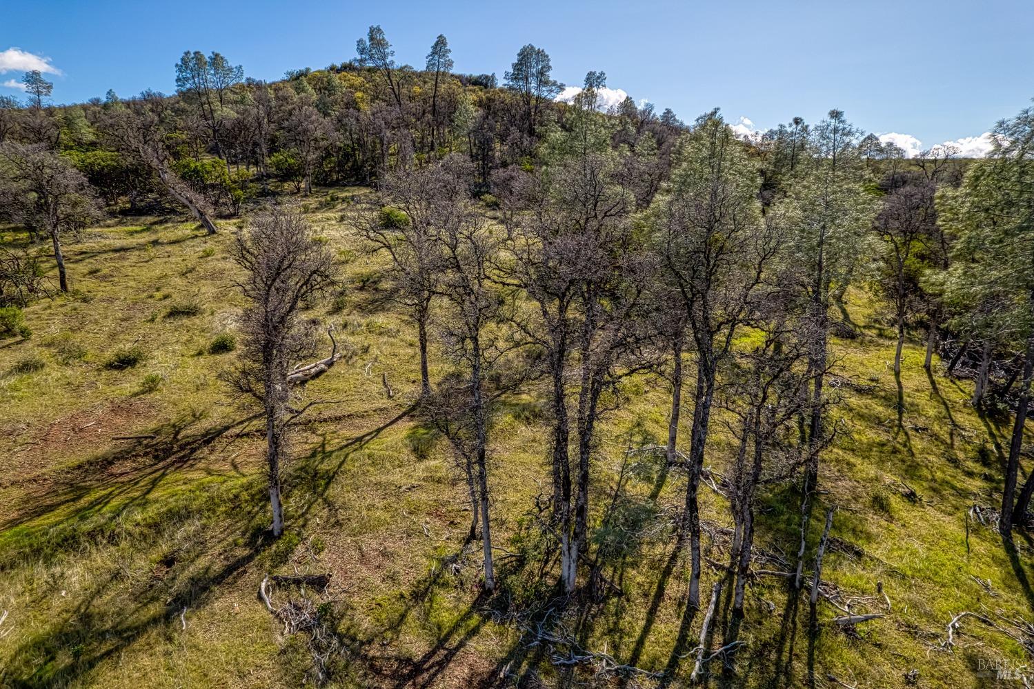 Detail Gallery Image 32 of 34 For 23523 Morgan Valley Rd, Lower Lake,  CA 95457 - – Beds | – Baths