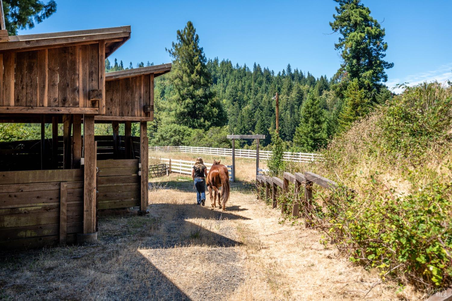 Detail Gallery Image 61 of 72 For 29100 Comptche Ukiah Rd, Comptche,  CA 95427 - 3 Beds | 2 Baths