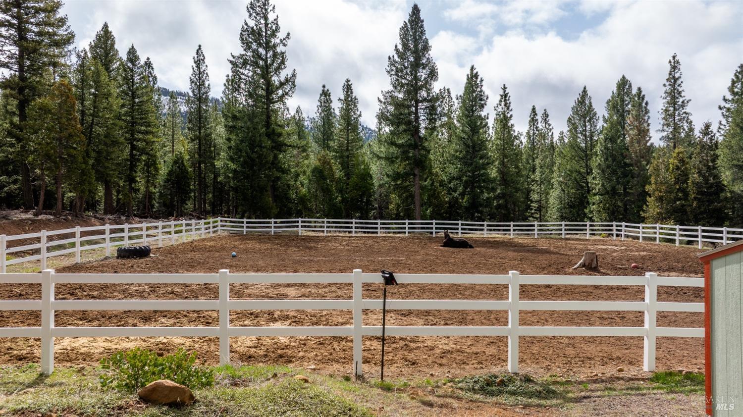 Detail Gallery Image 27 of 34 For 7780 Beckwourth Peak Rd, Portola,  CA 96122 - 3 Beds | 2/1 Baths