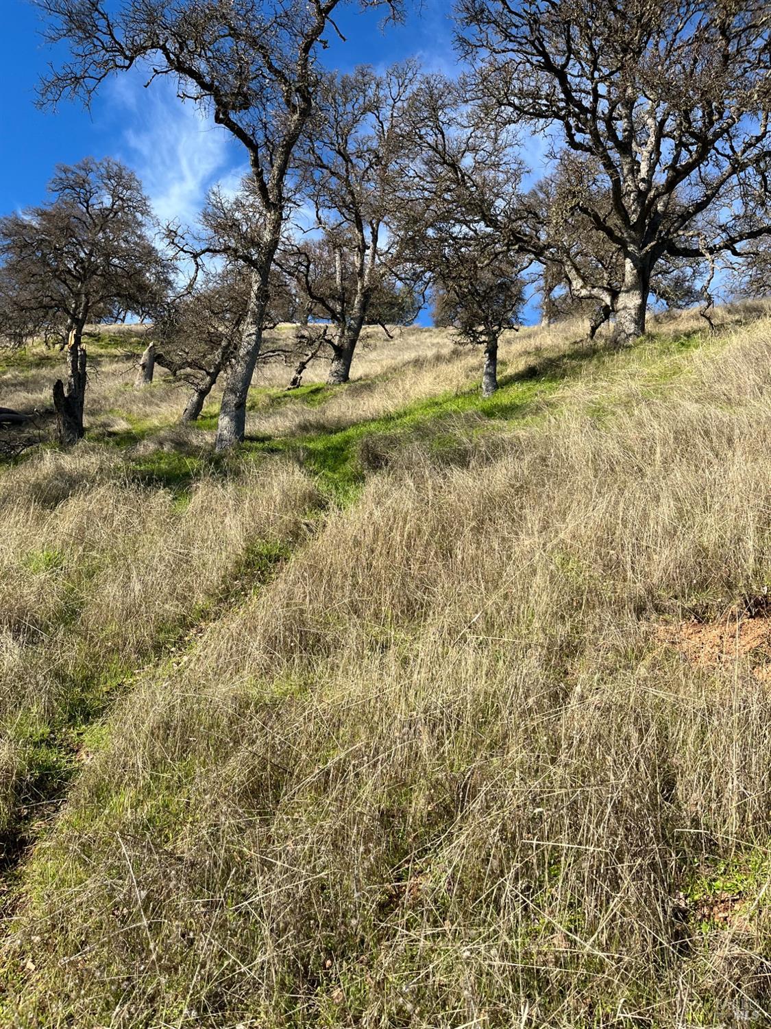 Konocti Drive, Clearlake Oaks, California image 4