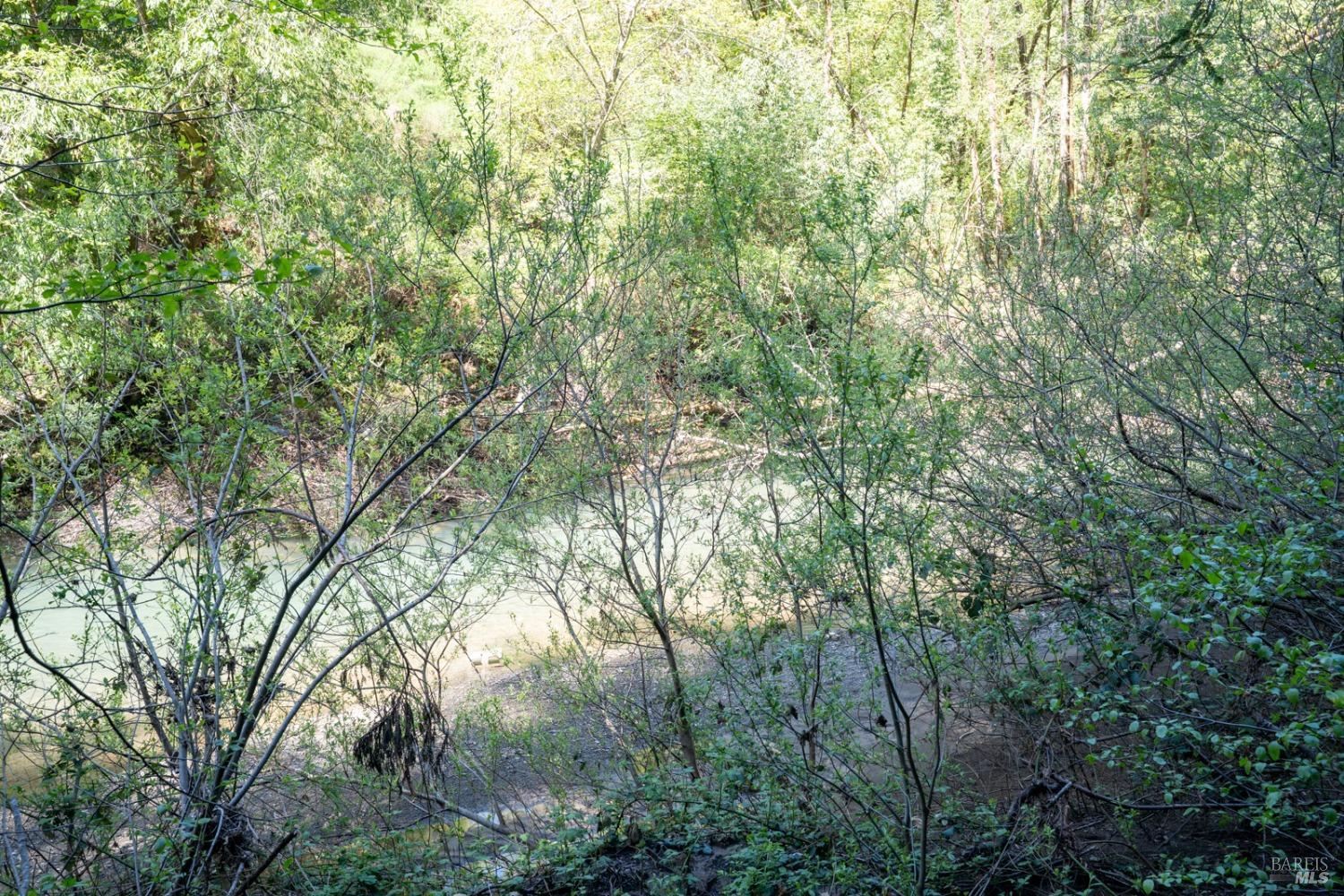 Detail Gallery Image 67 of 69 For 780 E Austin Creek Rd, Cazadero,  CA 95421 - 2 Beds | 1 Baths