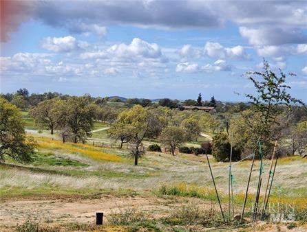 Detail Gallery Image 50 of 51 For 34310 Barn Owl Rd, Raymond,  CA 93653 - 4 Beds | 4 Baths