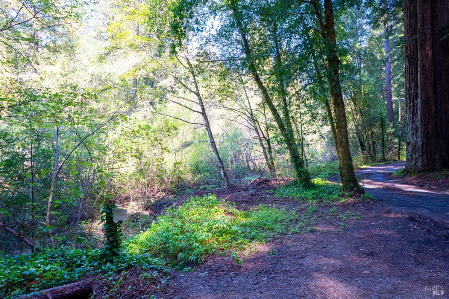 Detail Gallery Image 68 of 69 For 780 E Austin Creek Rd, Cazadero,  CA 95421 - 2 Beds | 1 Baths