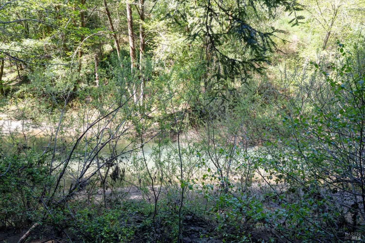 Detail Gallery Image 66 of 69 For 780 E Austin Creek Rd, Cazadero,  CA 95421 - 2 Beds | 1 Baths