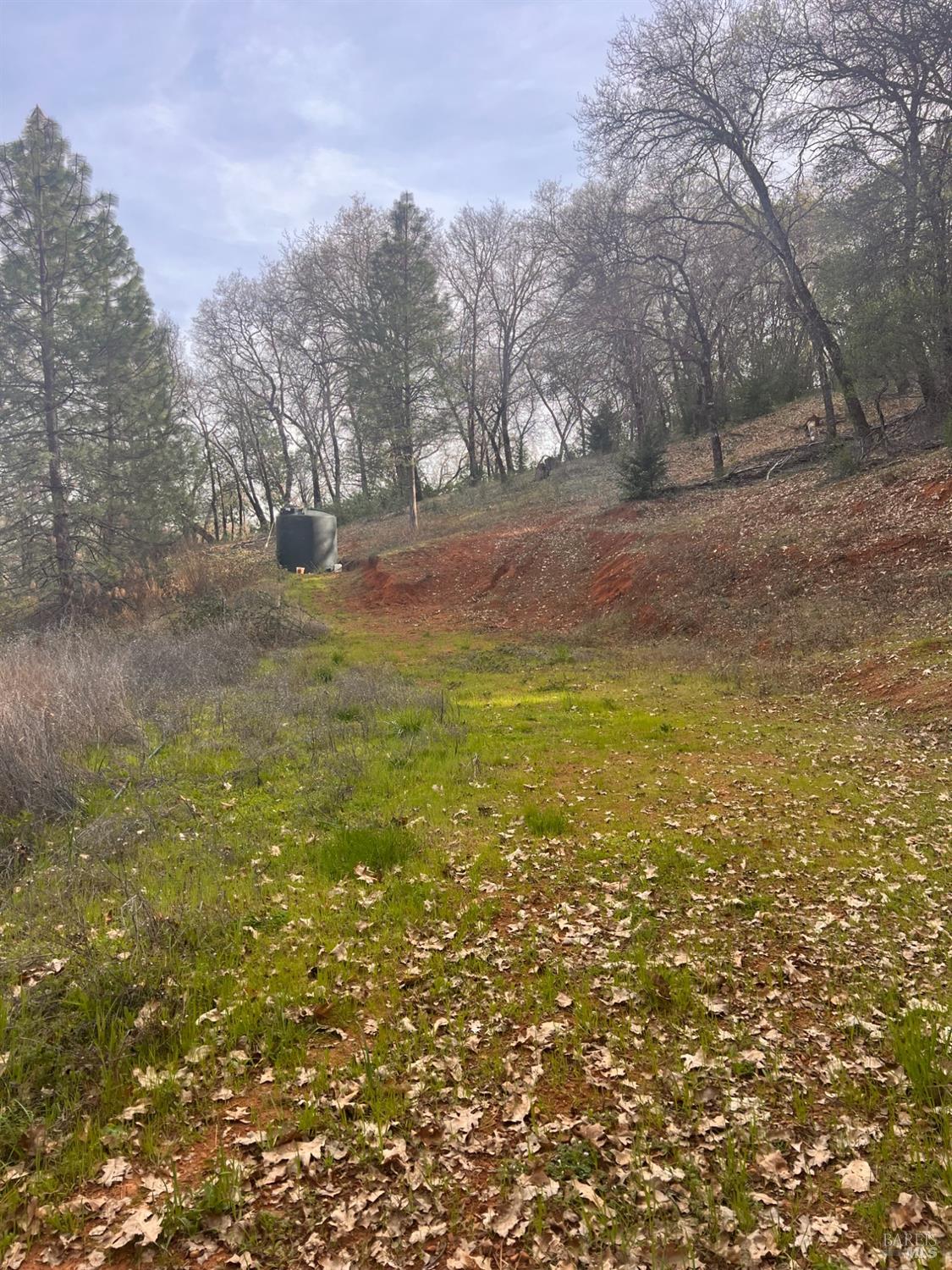 Detail Gallery Image 21 of 32 For 78951 Zenia Rd, Covelo,  CA 95428 - 3 Beds | 1/1 Baths