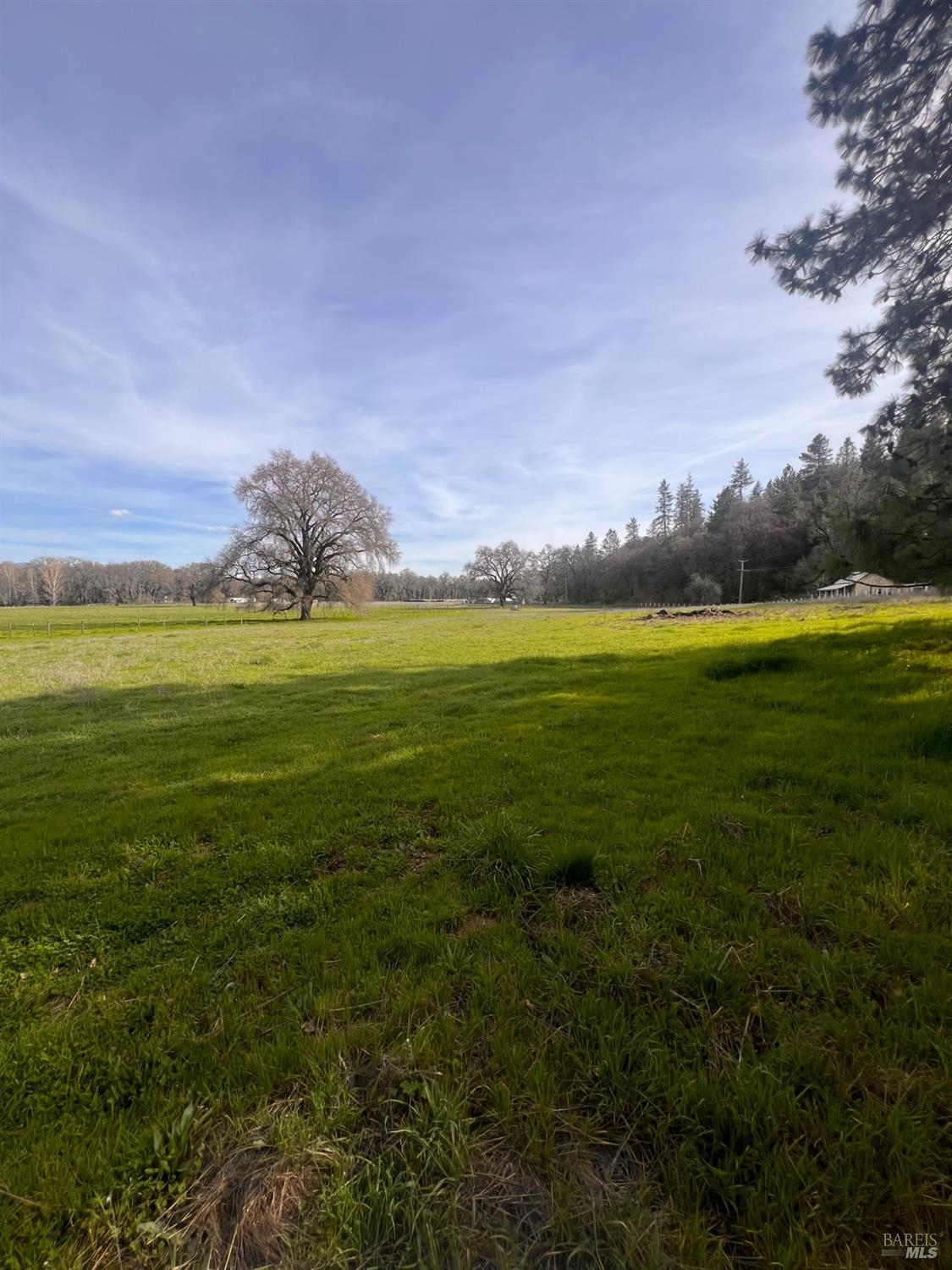 Detail Gallery Image 10 of 32 For 78951 Zenia Rd, Covelo,  CA 95428 - 3 Beds | 1/1 Baths