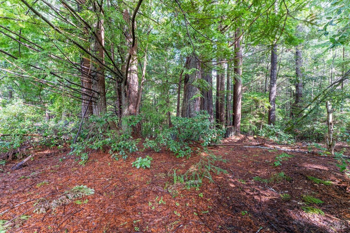 Detail Gallery Image 23 of 24 For 41600 Comptche-Ukiah Rd, Mendocino,  CA 95460 - 2 Beds | 1 Baths