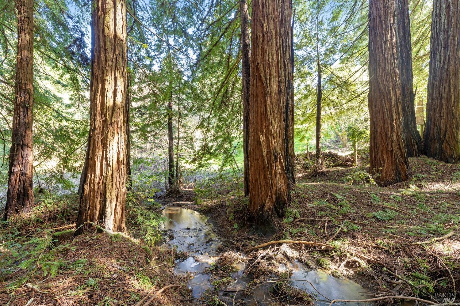 Detail Gallery Image 36 of 40 For 16090 Coleman Valley Rd, Occidental,  CA 95465 - 2 Beds | 2 Baths