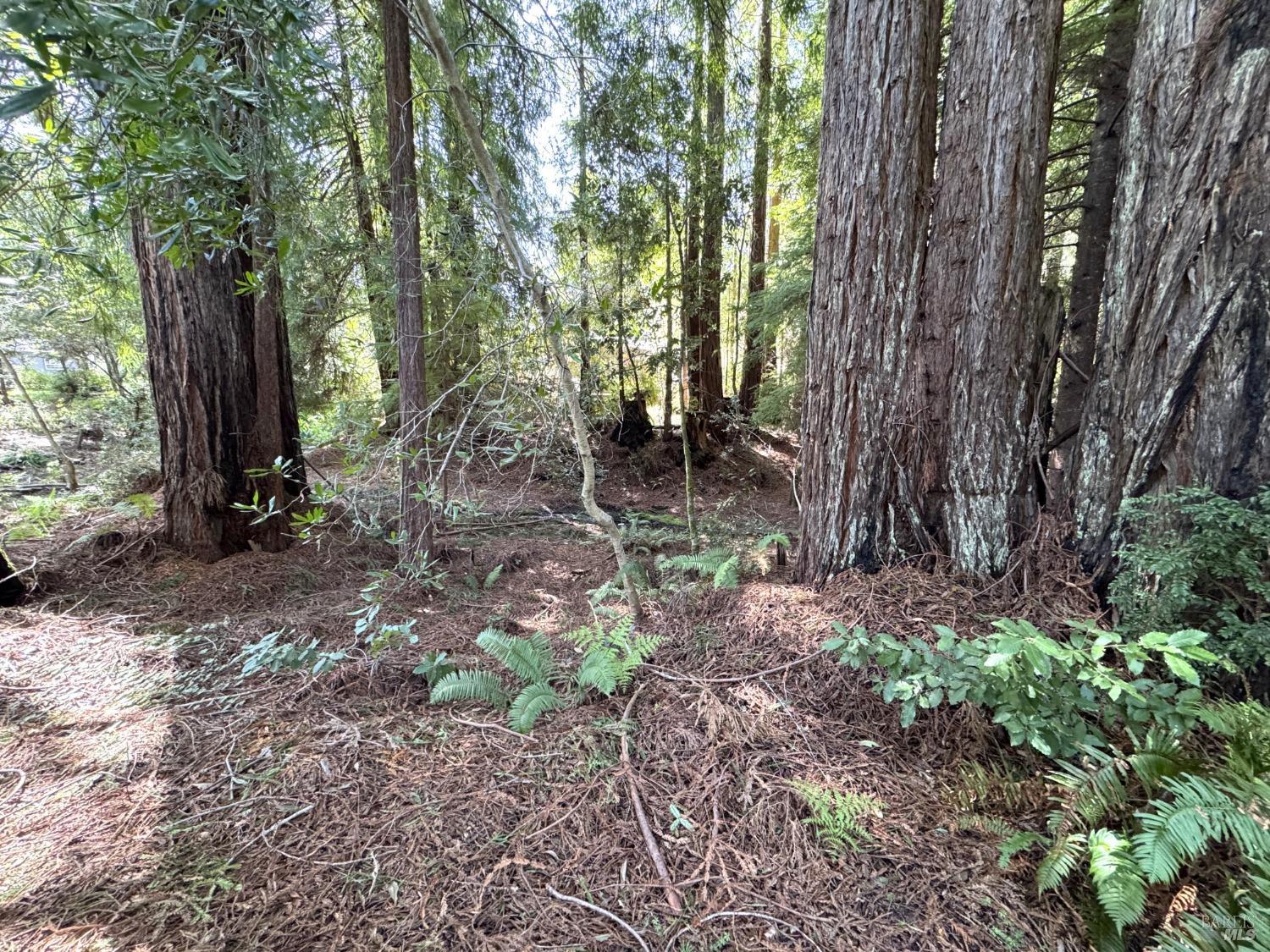 Detail Gallery Image 20 of 23 For 43300 Little River Airport Rd 35, Little River_1,  CA 95456 - 2 Beds | 2 Baths