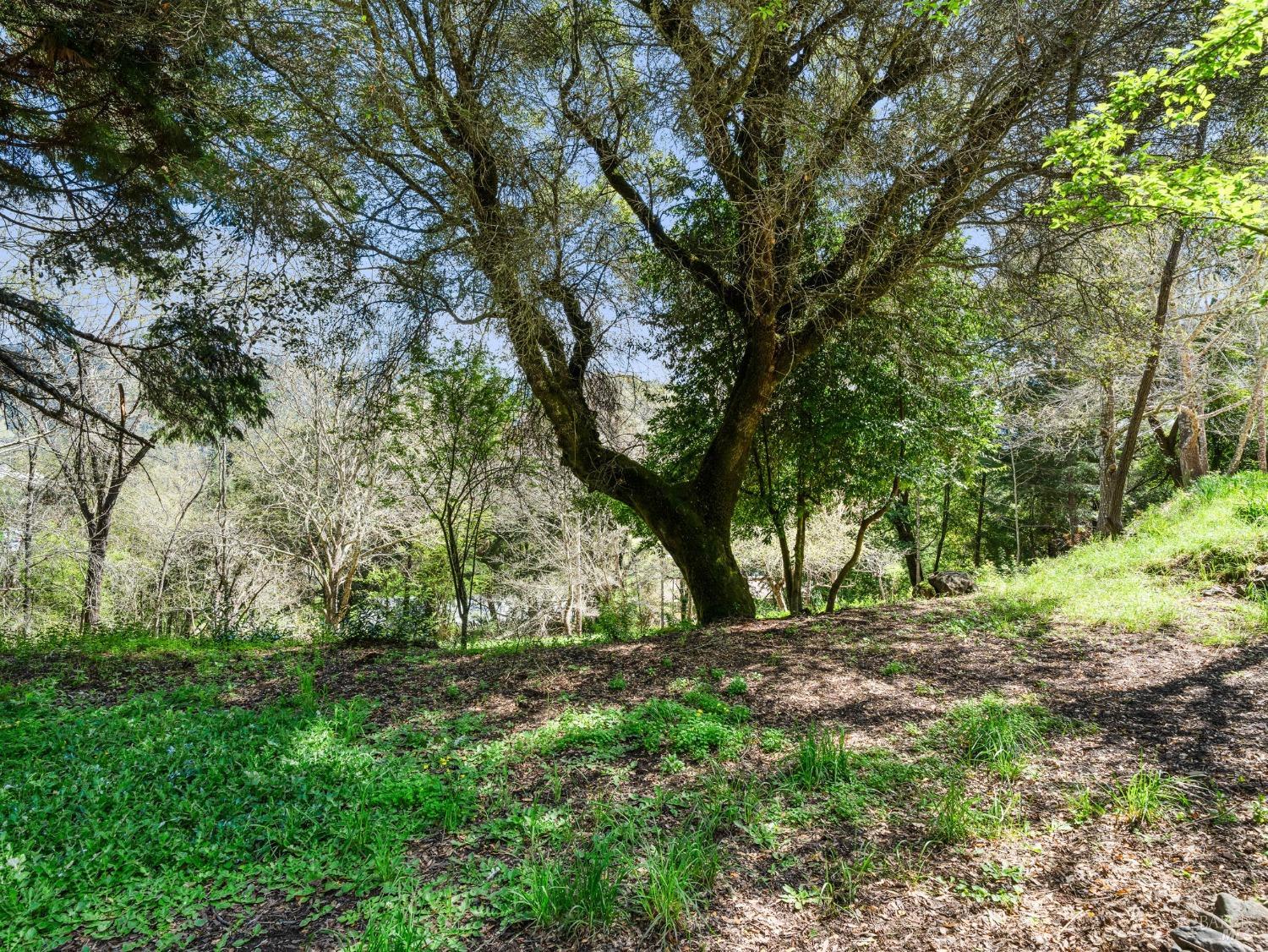 Detail Gallery Image 39 of 41 For 8330 Highway 128 Hwy, Philo,  CA 95466 - 2 Beds | 2 Baths