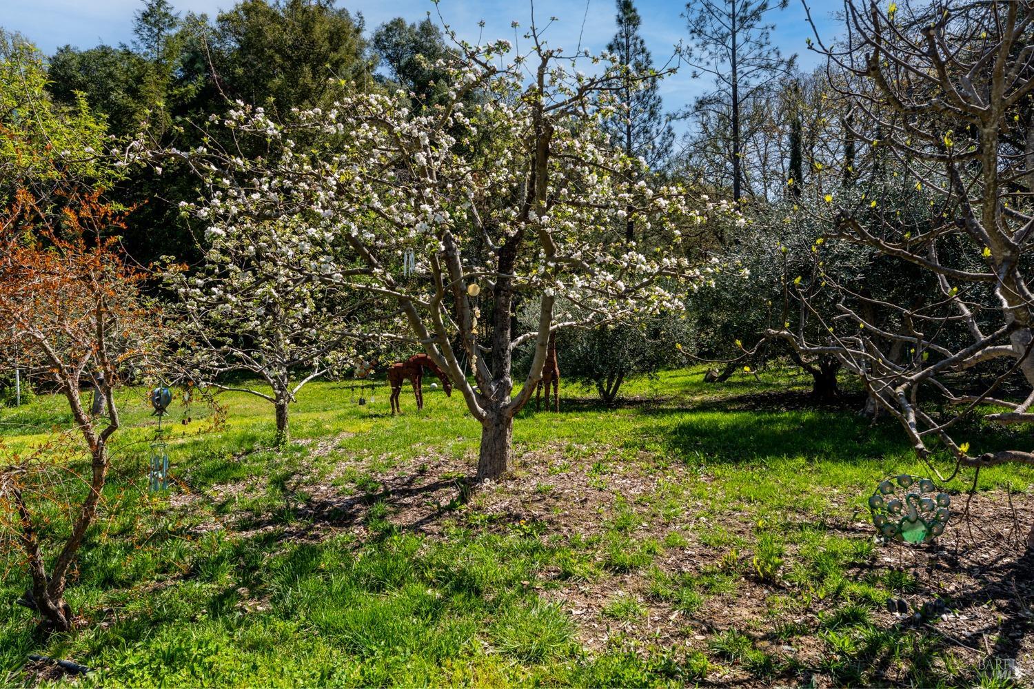 Detail Gallery Image 34 of 39 For 5490 Eastside Calpella Rd, Ukiah,  CA 95482 - 4 Beds | 3 Baths