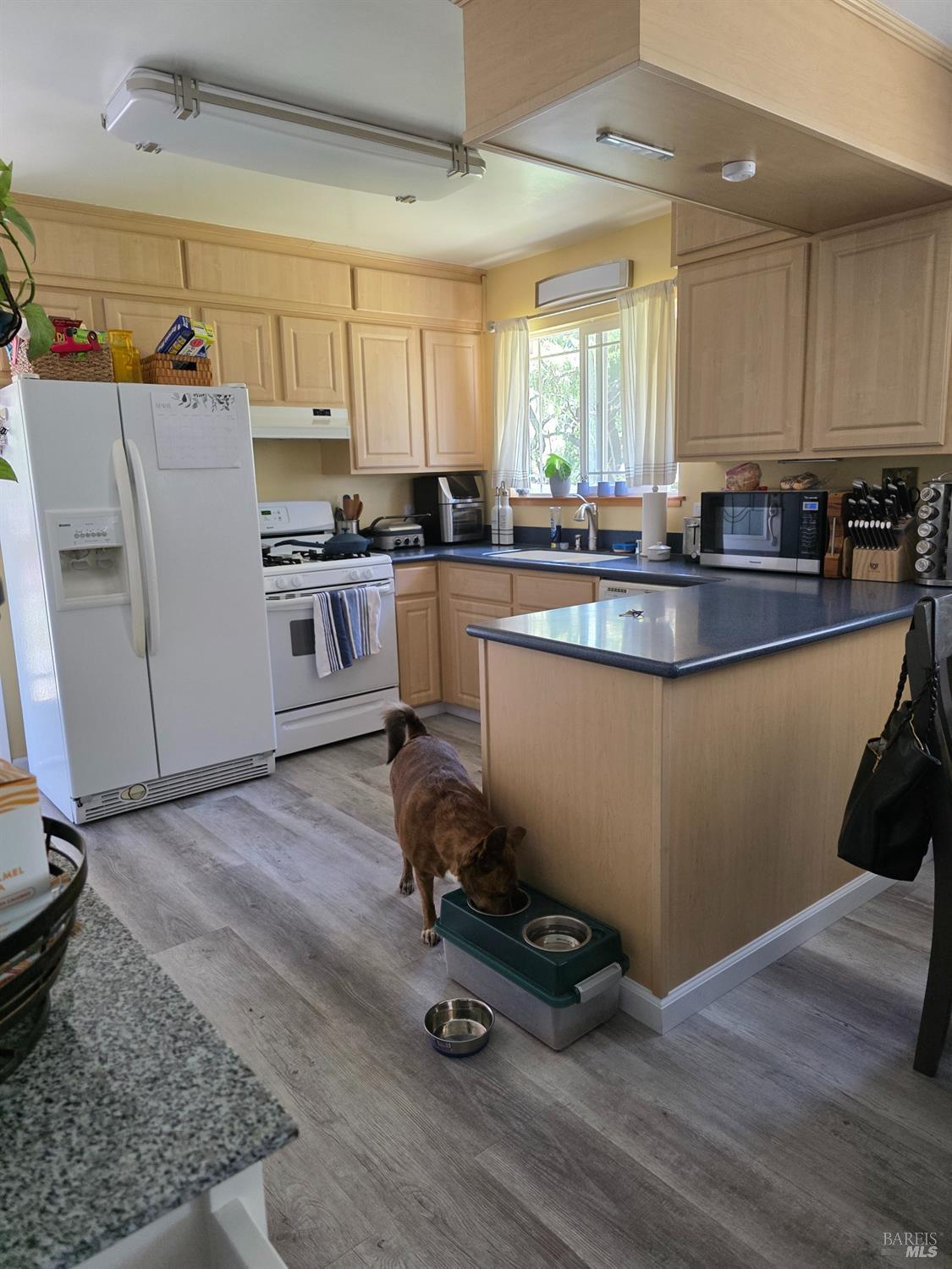 Detail Gallery Image 54 of 82 For 6049 Van Keppel Rd, Forestville,  CA 95436 - 2 Beds | 1 Baths
