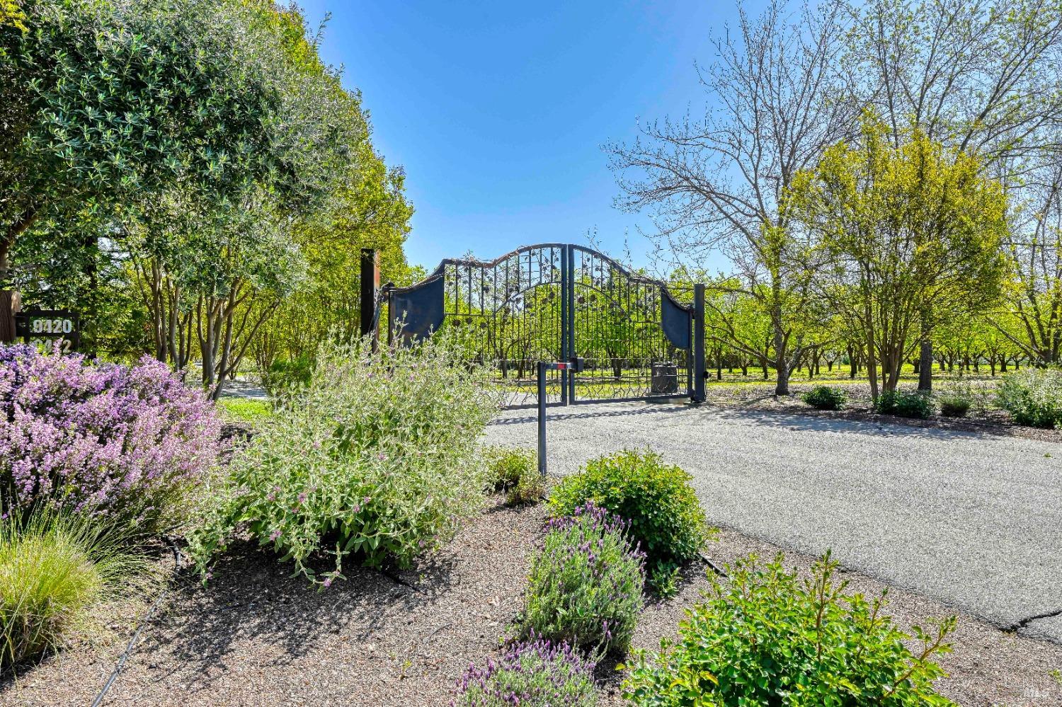 Detail Gallery Image 3 of 88 For 9420 Stevenson Bridge Rd, Winters,  CA 95694 - 8 Beds | 8/1 Baths