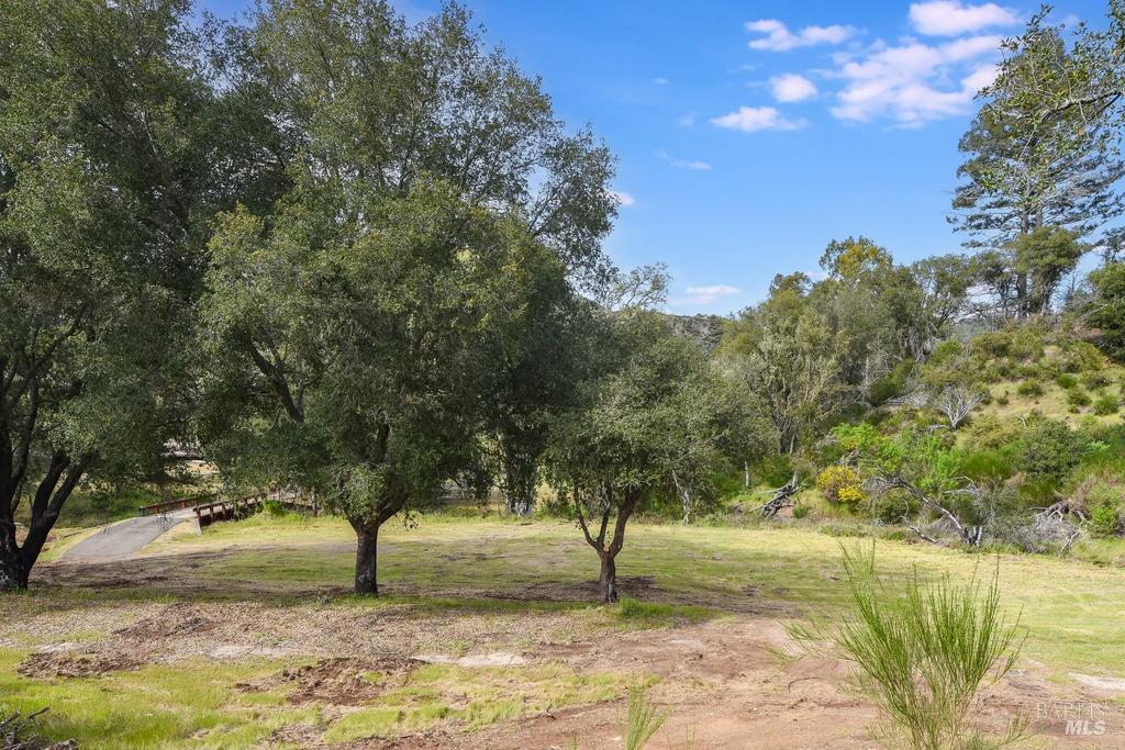 Detail Gallery Image 11 of 19 For 9292 Franz Valley School Rd, Calistoga,  CA 94515 - – Beds | – Baths