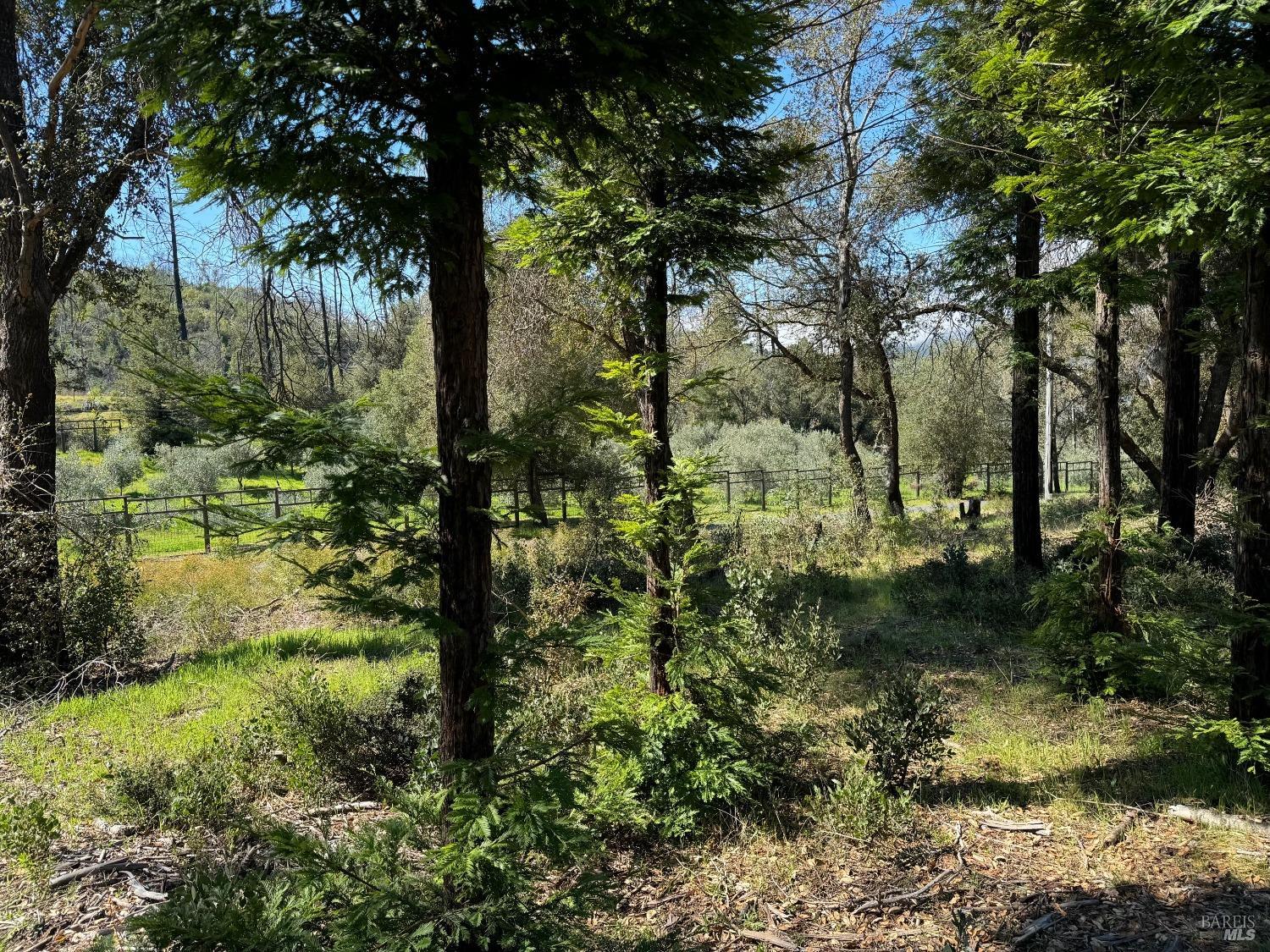 Detail Gallery Image 20 of 21 For 9201 Franz Valley School Rd, Calistoga,  CA 94515 - – Beds | – Baths