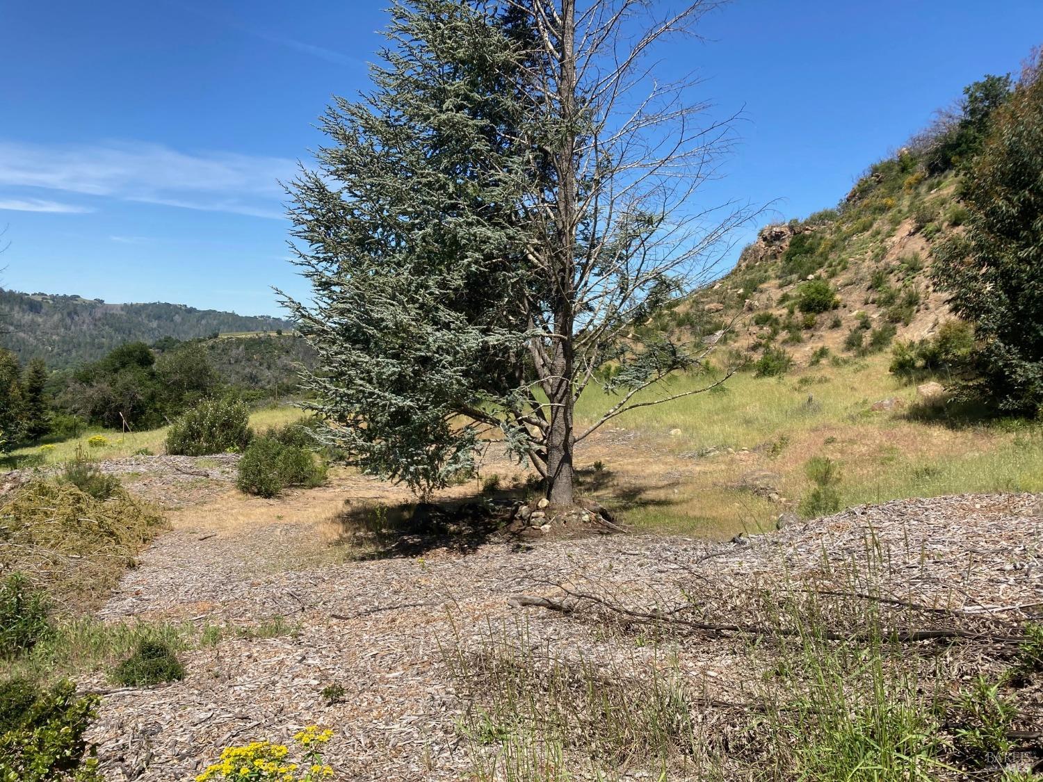 Detail Gallery Image 10 of 21 For 9201 Franz Valley School Rd, Calistoga,  CA 94515 - – Beds | – Baths