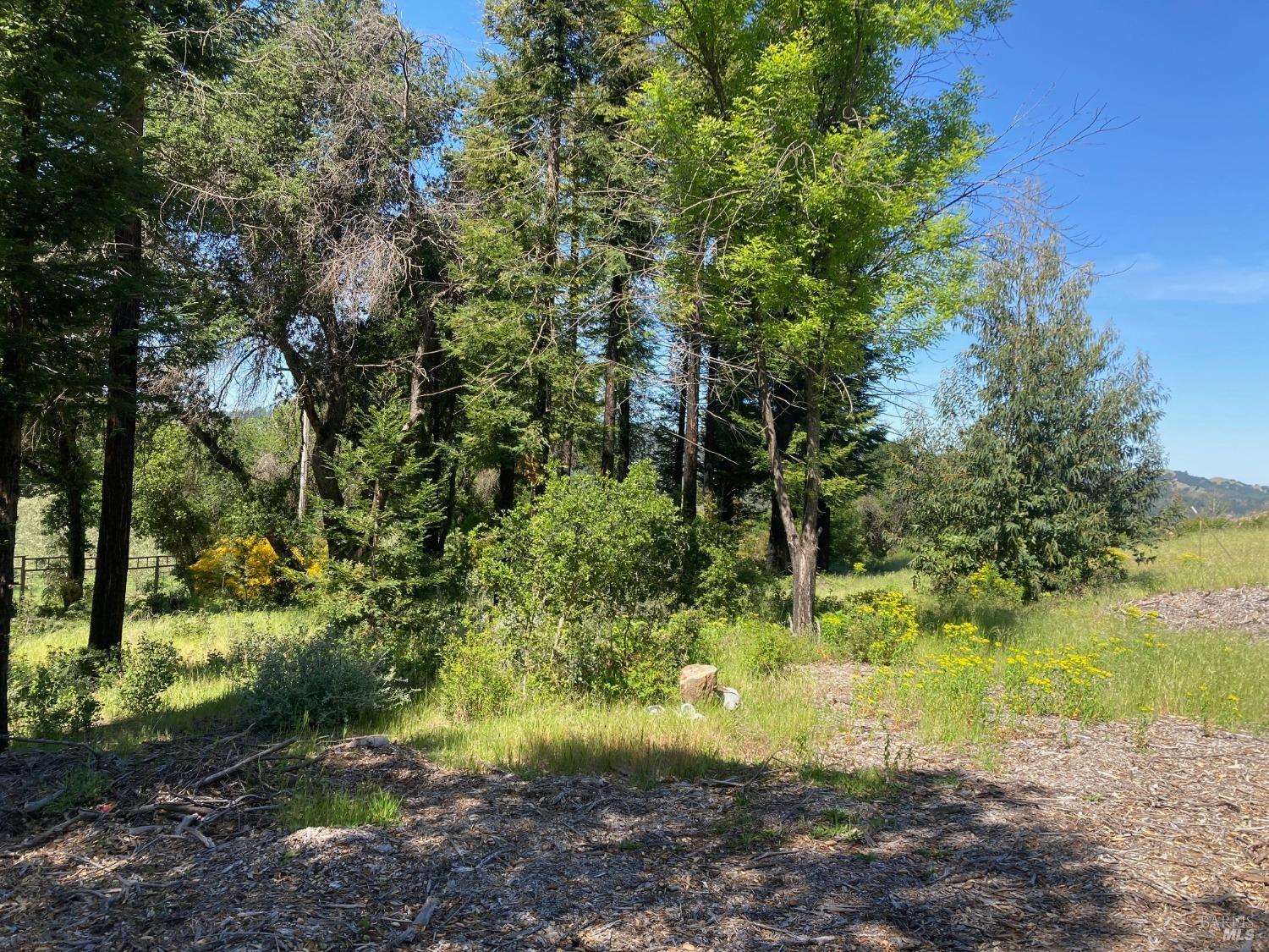 Detail Gallery Image 15 of 21 For 9201 Franz Valley School Rd, Calistoga,  CA 94515 - – Beds | – Baths