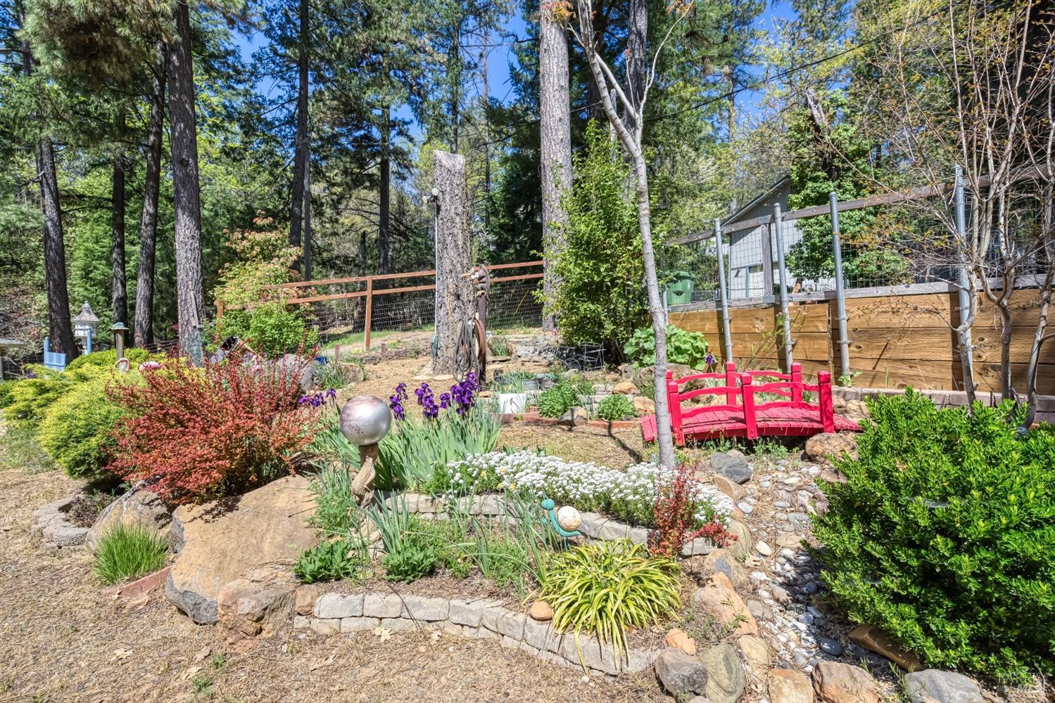 Detail Gallery Image 54 of 61 For 16675 Mountain View Dr, Cobb,  CA 95426 - 4 Beds | 3 Baths