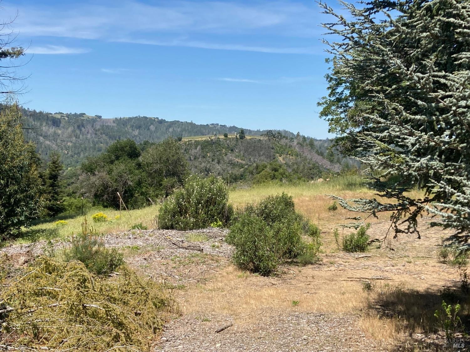Detail Gallery Image 12 of 21 For 9201 Franz Valley School Rd, Calistoga,  CA 94515 - – Beds | – Baths