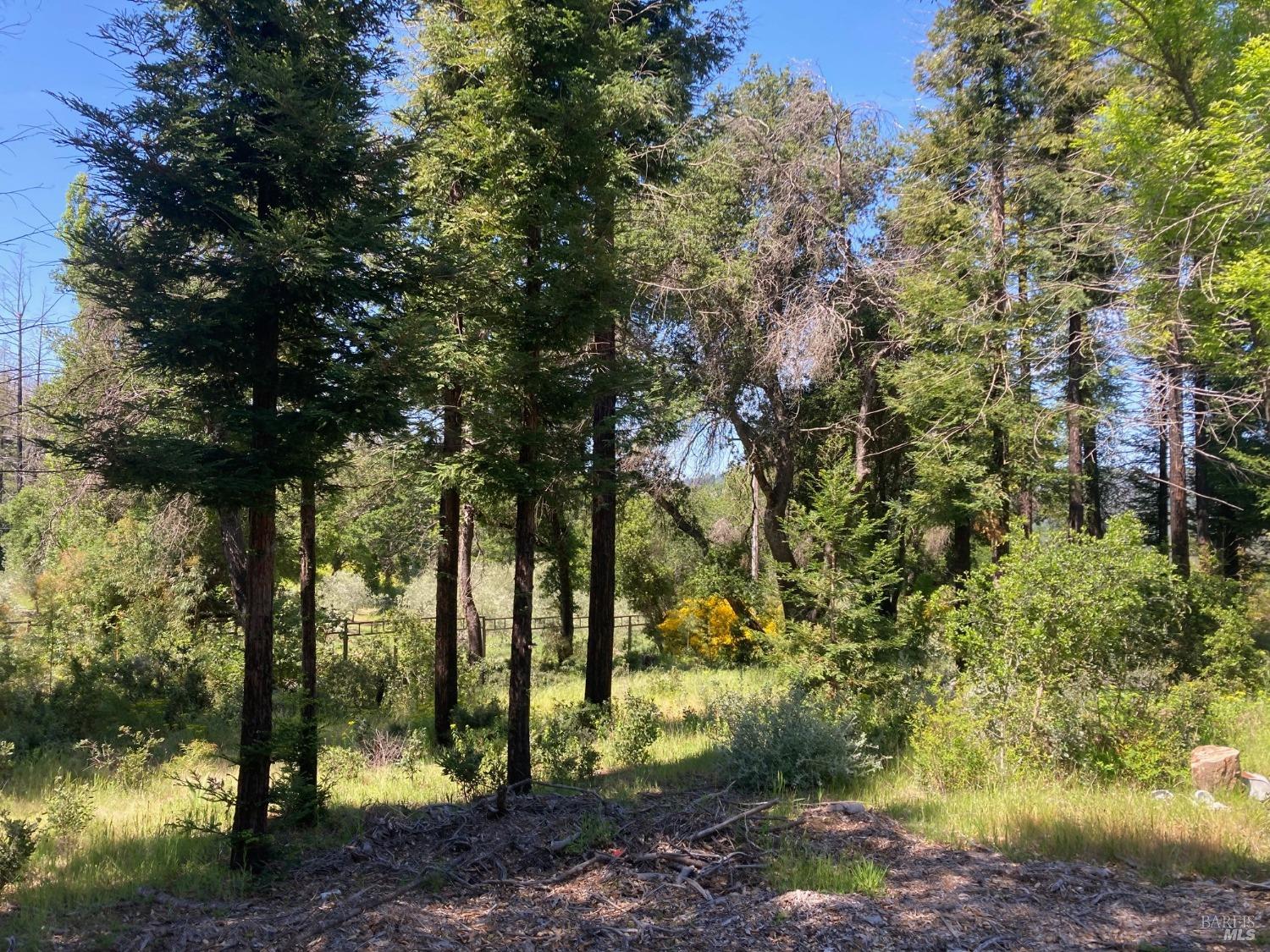 Detail Gallery Image 14 of 21 For 9201 Franz Valley School Rd, Calistoga,  CA 94515 - – Beds | – Baths