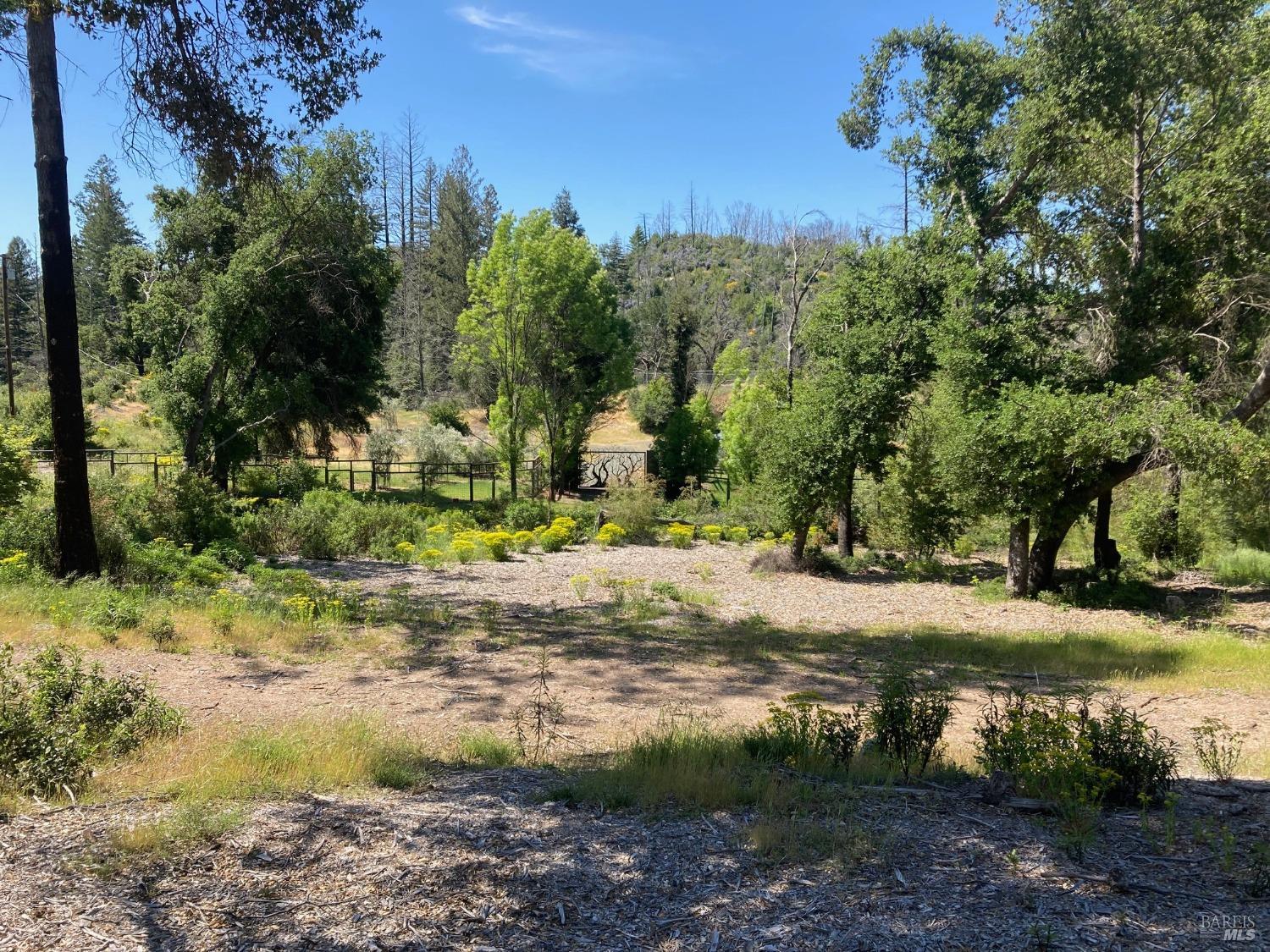 Detail Gallery Image 8 of 21 For 9201 Franz Valley School Rd, Calistoga,  CA 94515 - – Beds | – Baths