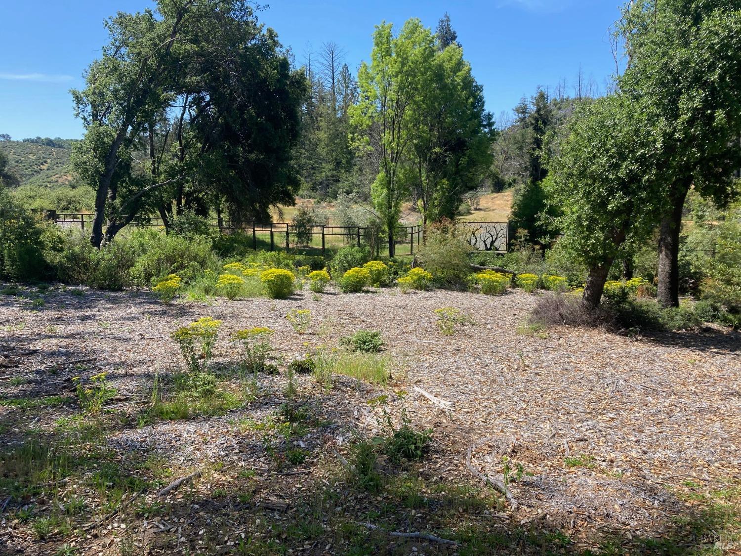 Detail Gallery Image 4 of 21 For 9201 Franz Valley School Rd, Calistoga,  CA 94515 - – Beds | – Baths