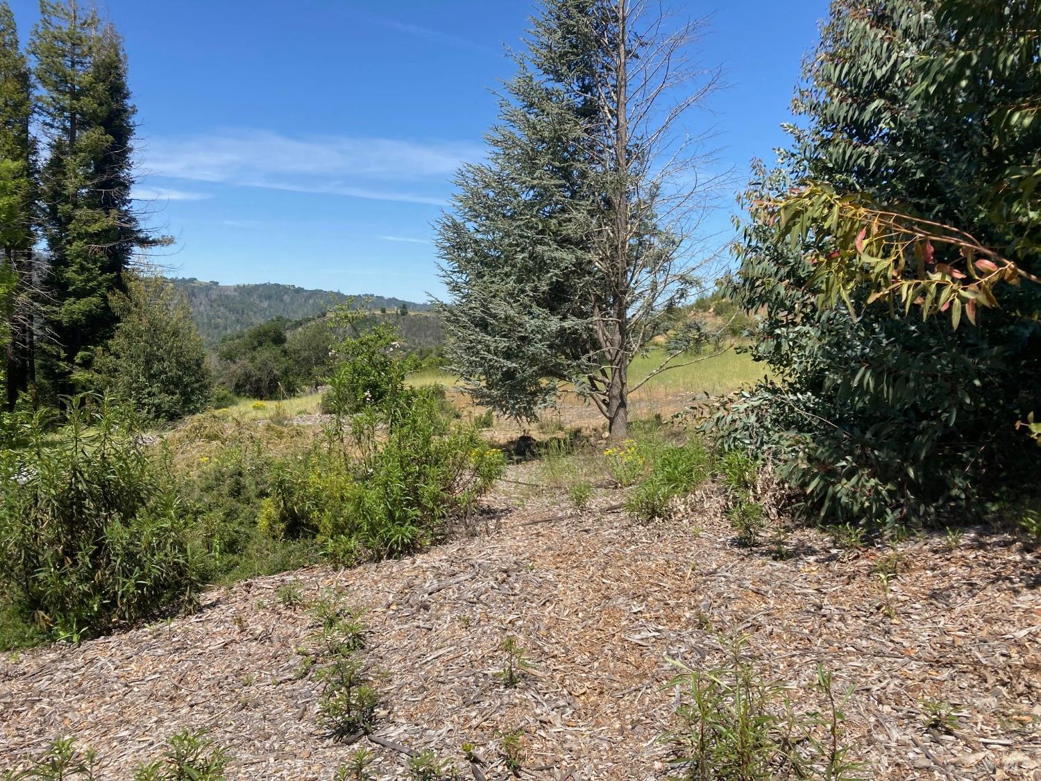 Detail Gallery Image 9 of 21 For 9201 Franz Valley School Rd, Calistoga,  CA 94515 - – Beds | – Baths