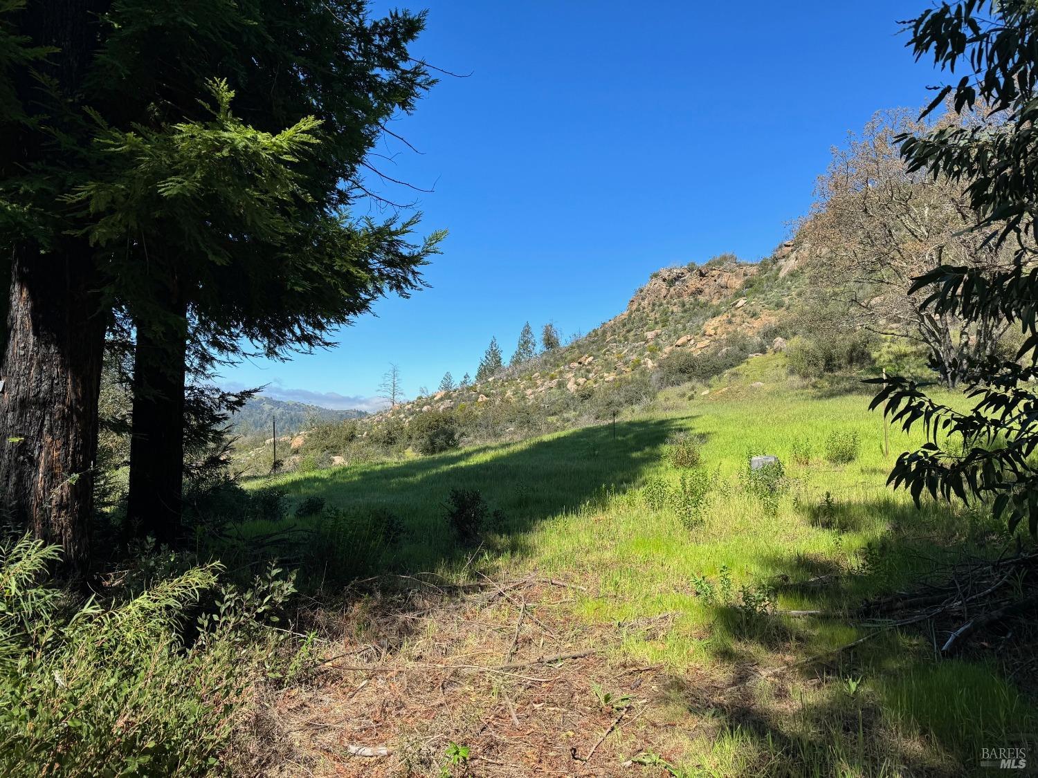 Detail Gallery Image 21 of 21 For 9201 Franz Valley School Rd, Calistoga,  CA 94515 - – Beds | – Baths