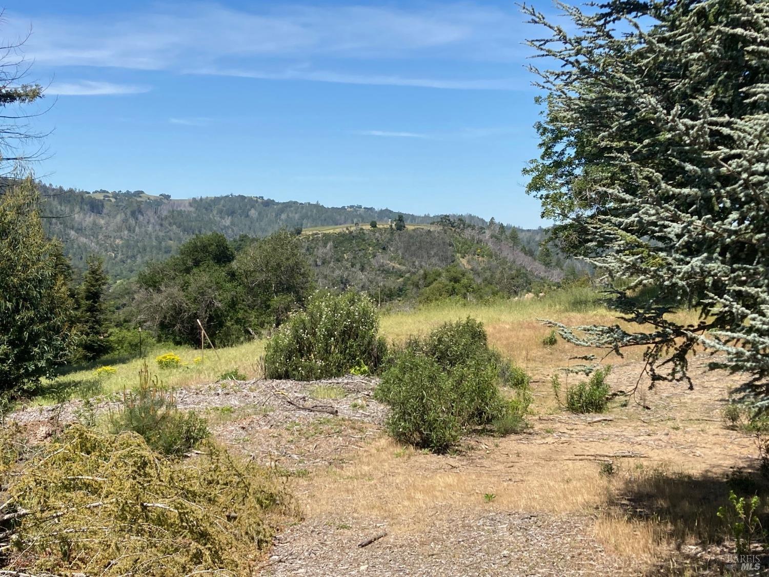 Detail Gallery Image 11 of 21 For 9201 Franz Valley School Rd, Calistoga,  CA 94515 - – Beds | – Baths