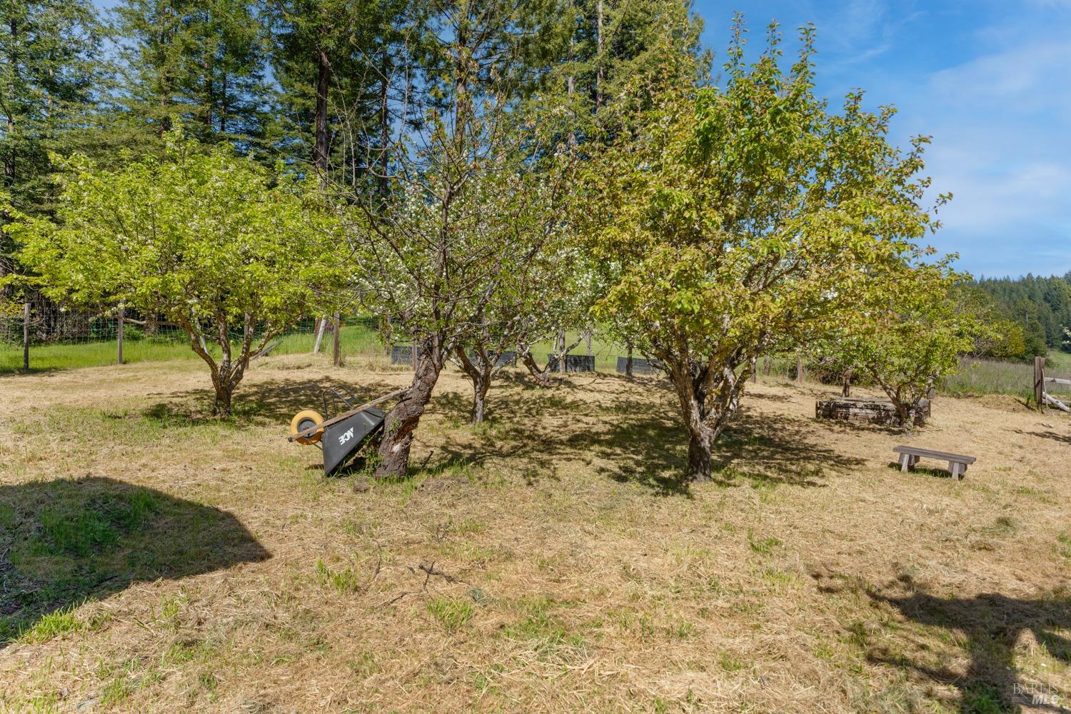 Detail Gallery Image 35 of 43 For 31150 Comptche Ukiah Rd, Comptche,  CA 95427 - 3 Beds | 1/1 Baths