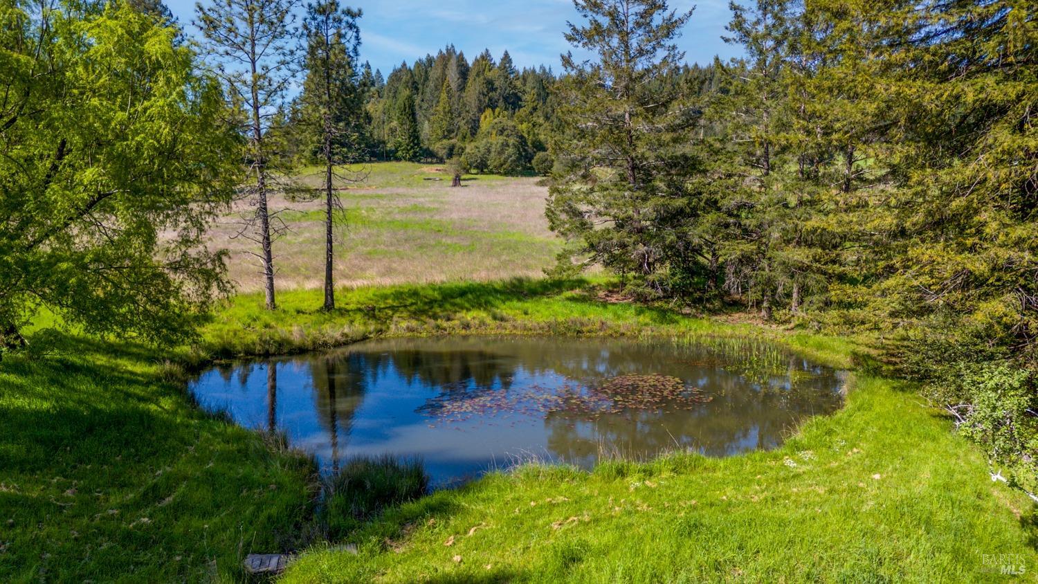 Detail Gallery Image 36 of 43 For 31150 Comptche Ukiah Rd, Comptche,  CA 95427 - 3 Beds | 1/1 Baths